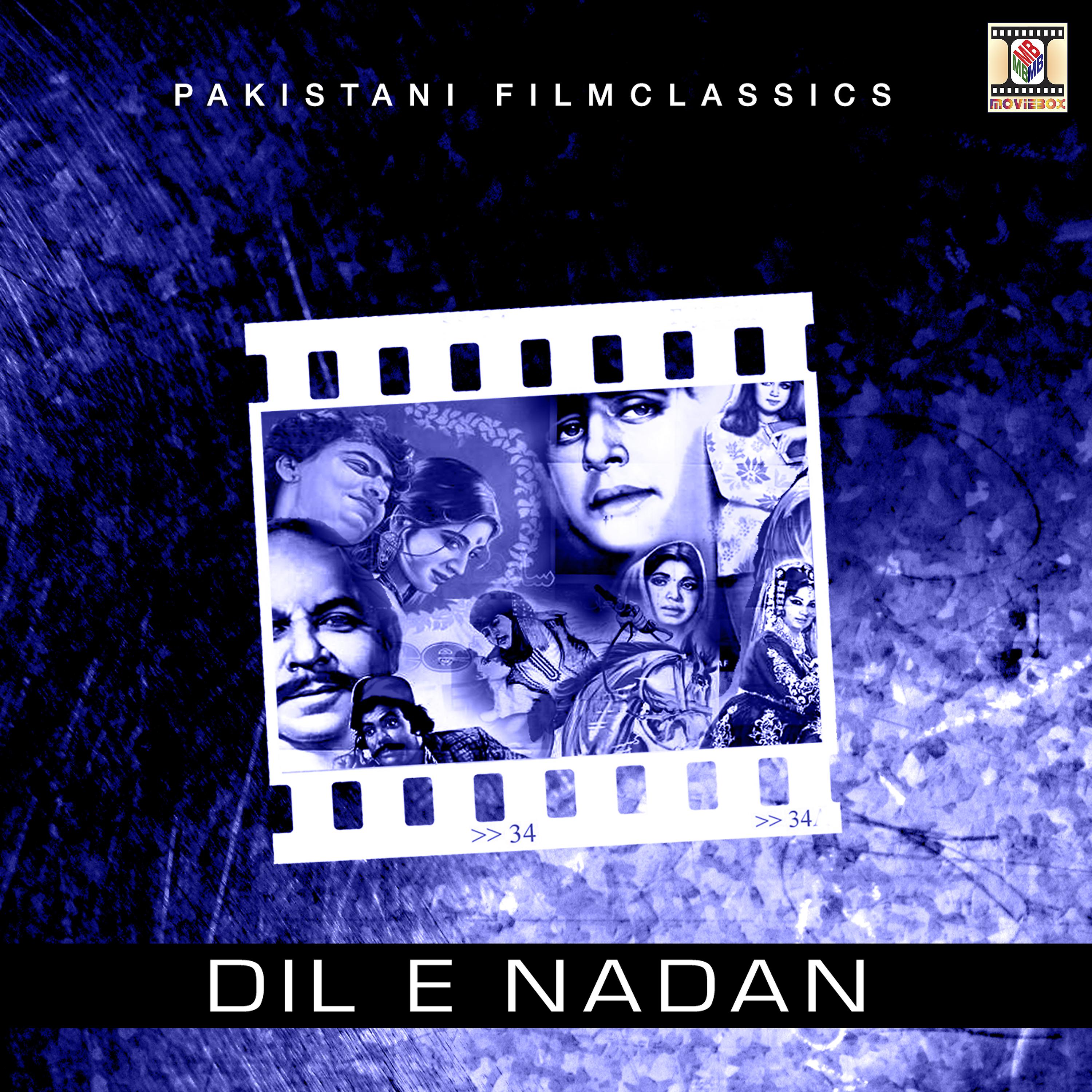 Постер альбома Dil E Nadan (Pakistani Film Soundtrack)