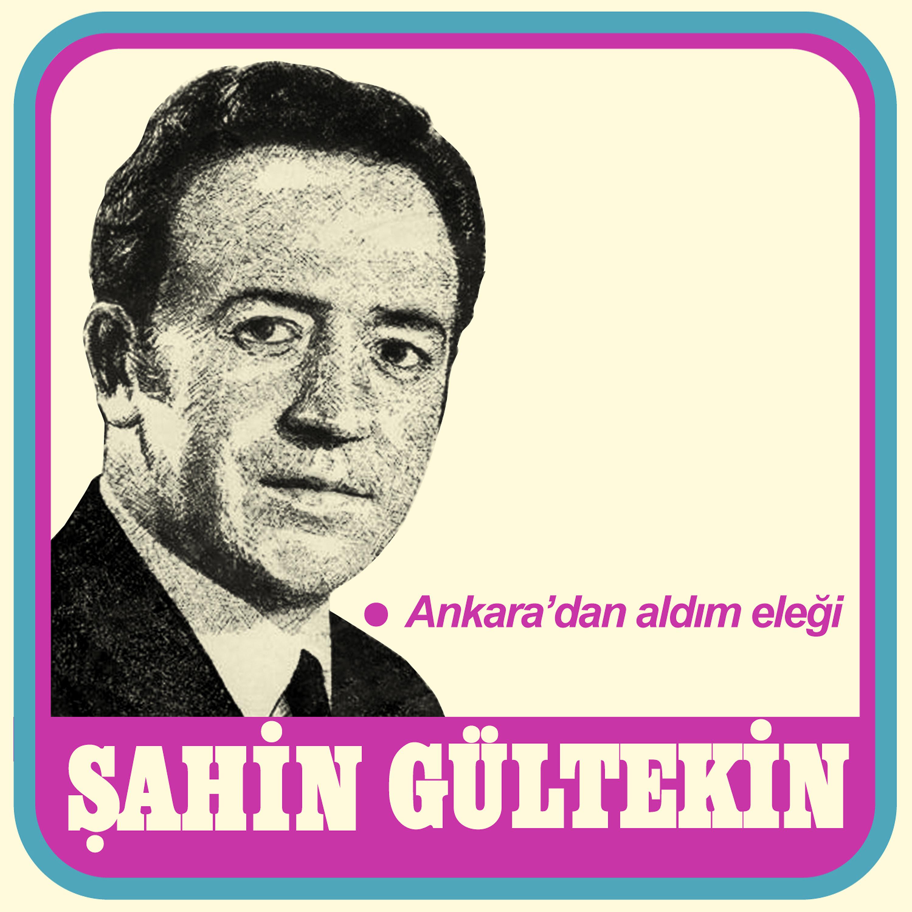 Постер альбома Ankara'dan Aldım Eleği