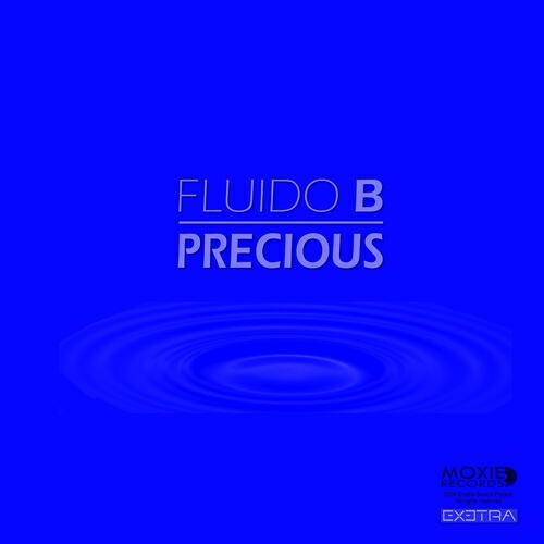 Fluido B - Previous Beat