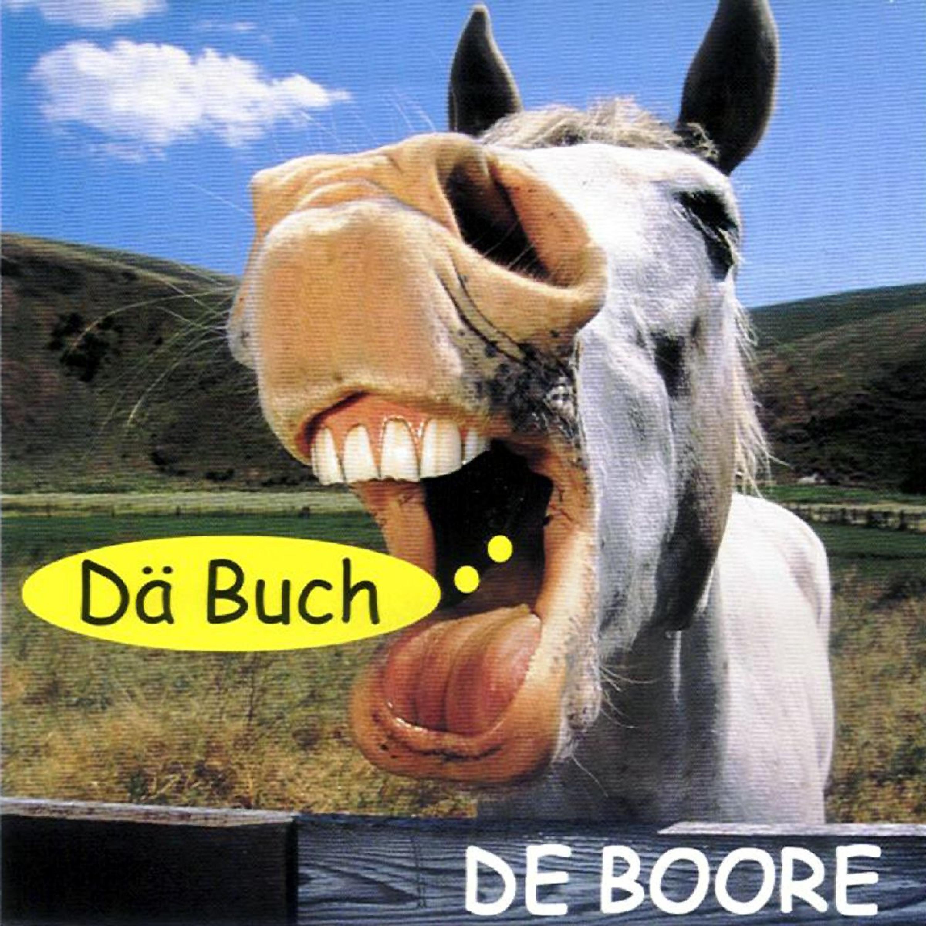 Постер альбома Dä Buch