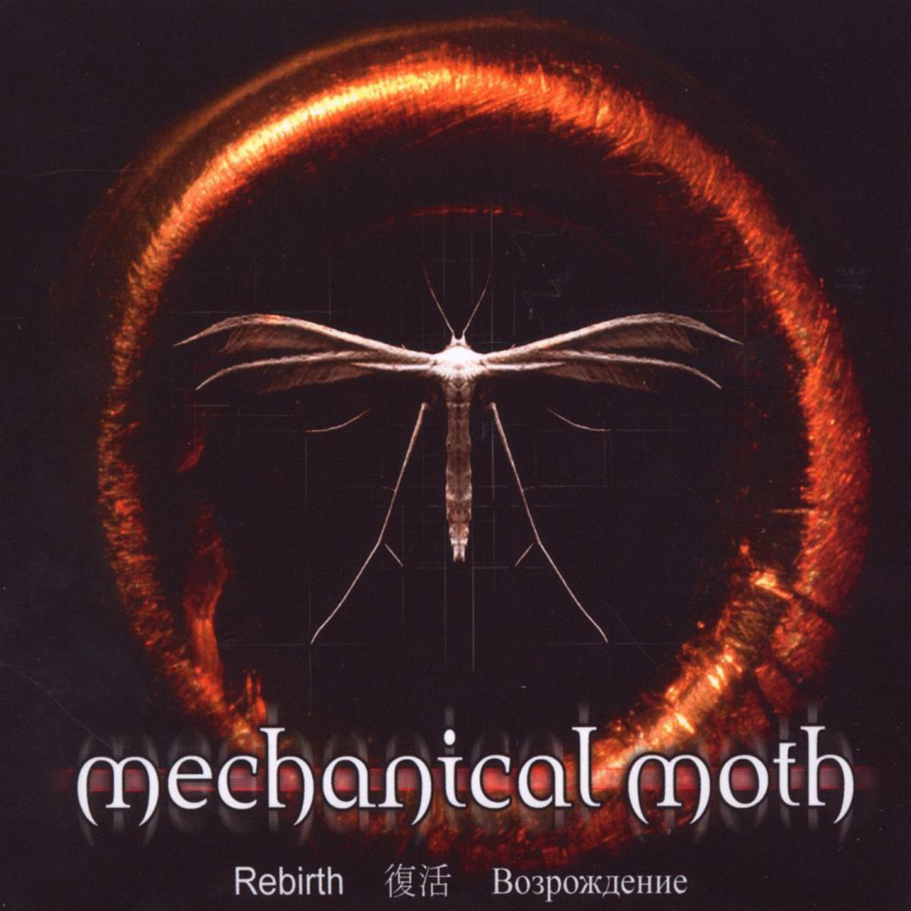 Mechanical Moth - Zealot