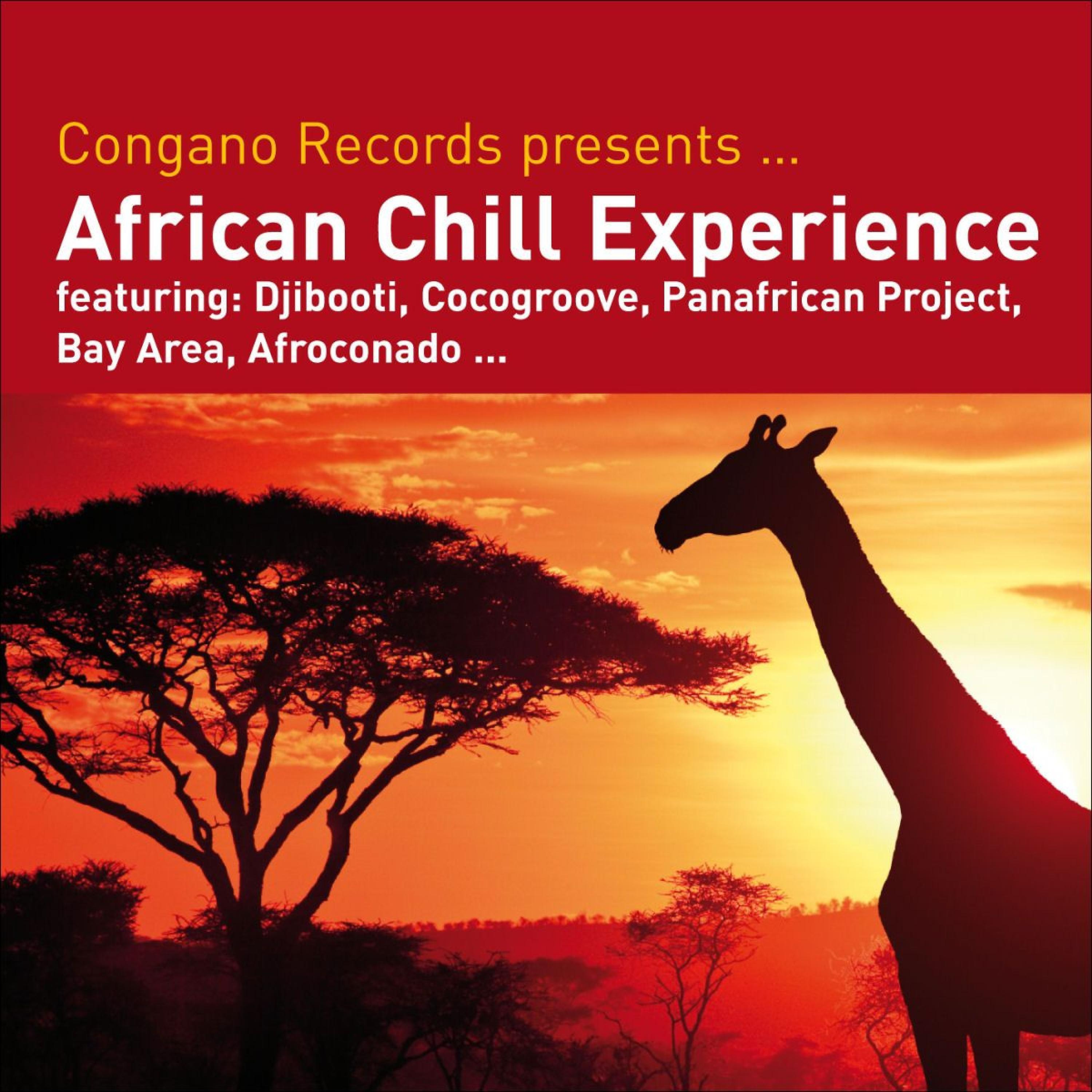 Постер альбома Congano Records Presents African Chill Experience