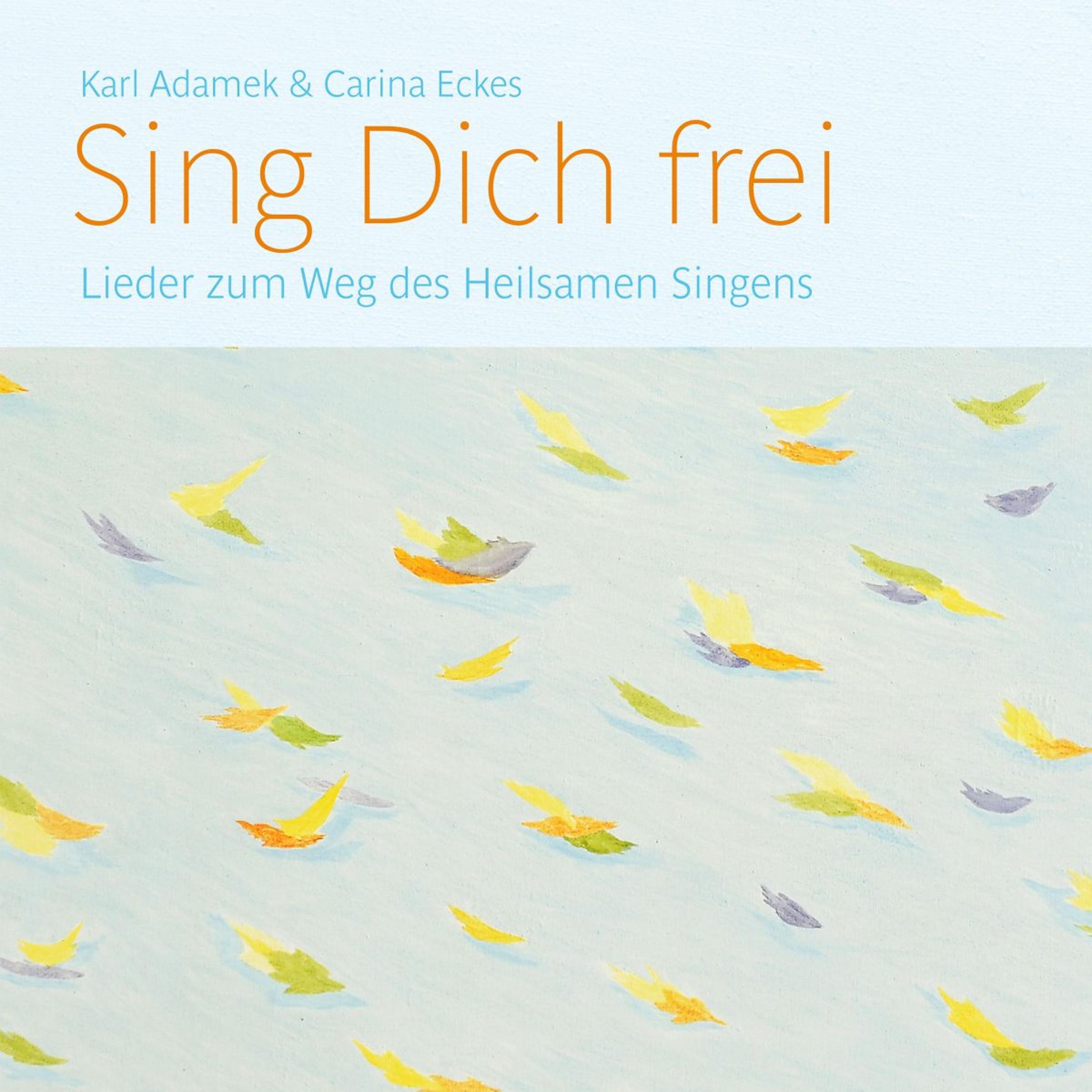 Постер альбома Sing Dich Frei