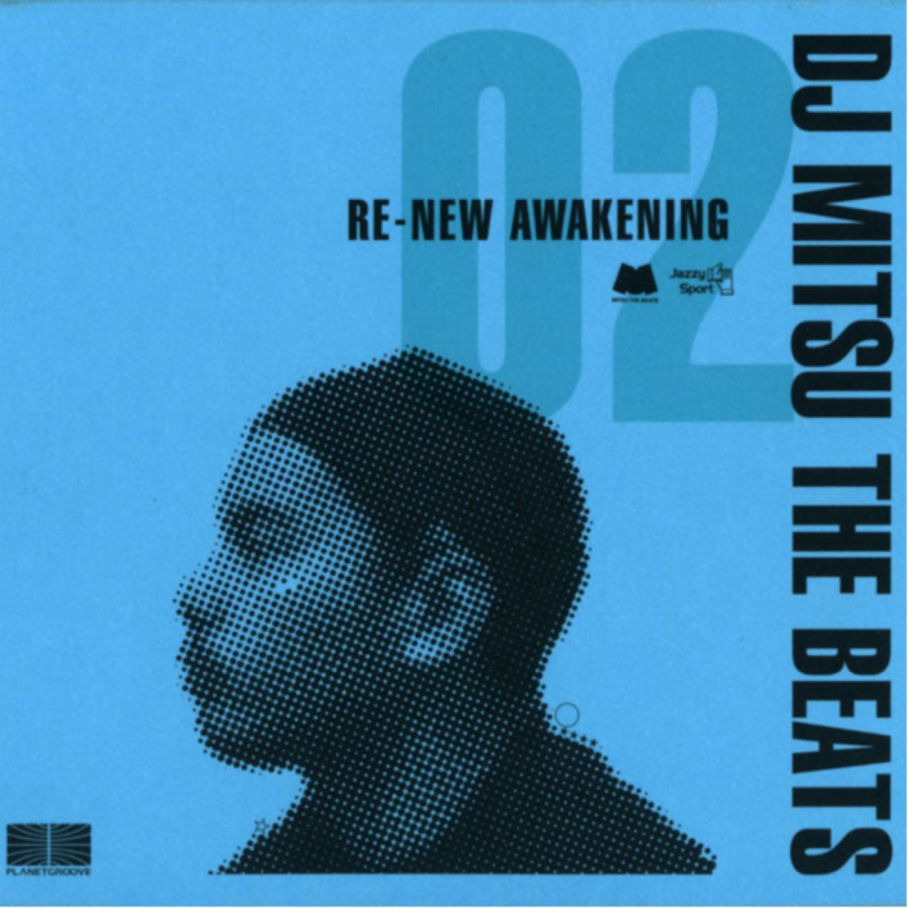Постер альбома Re New Awakening, Pt. 2