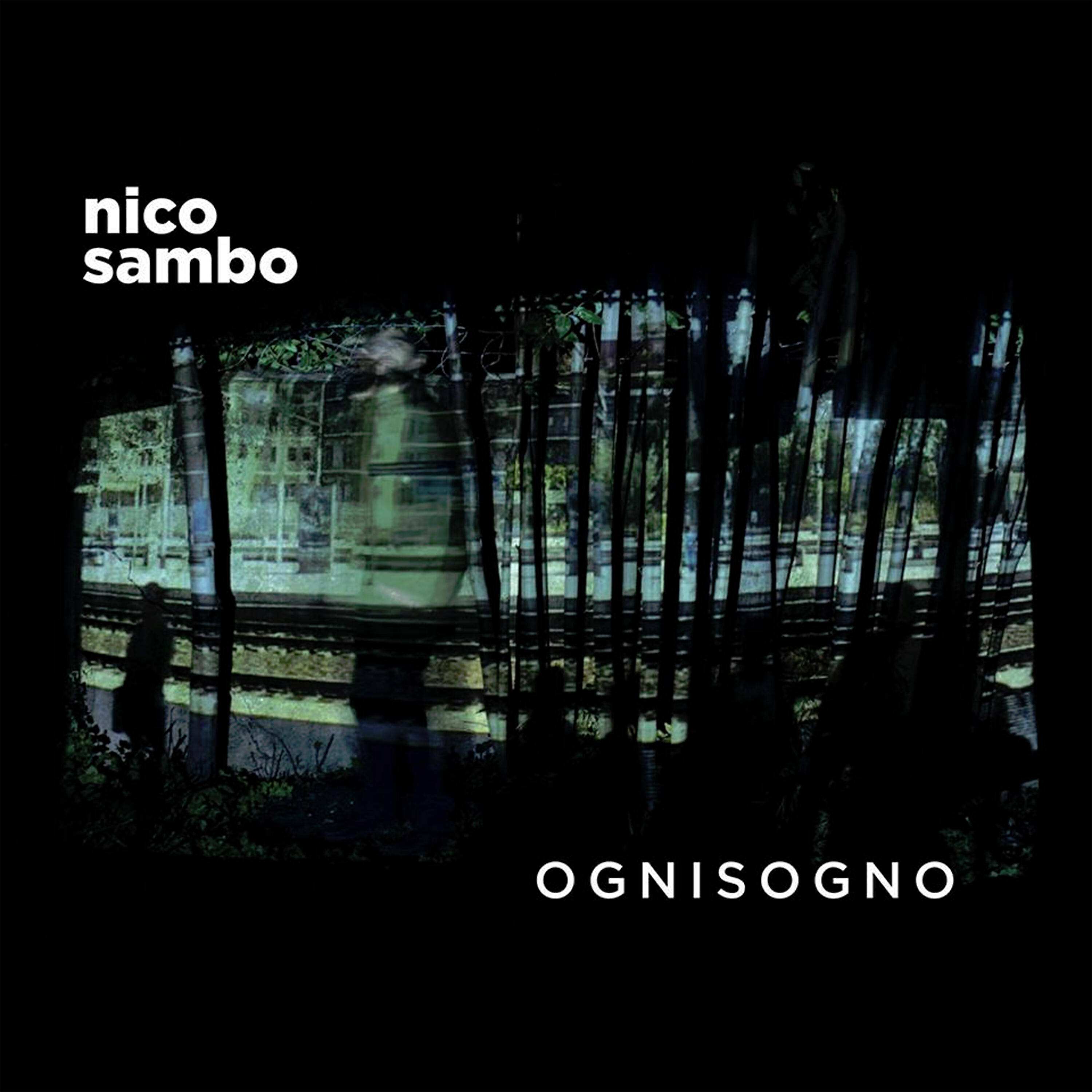Nico Sambo - Eurasia