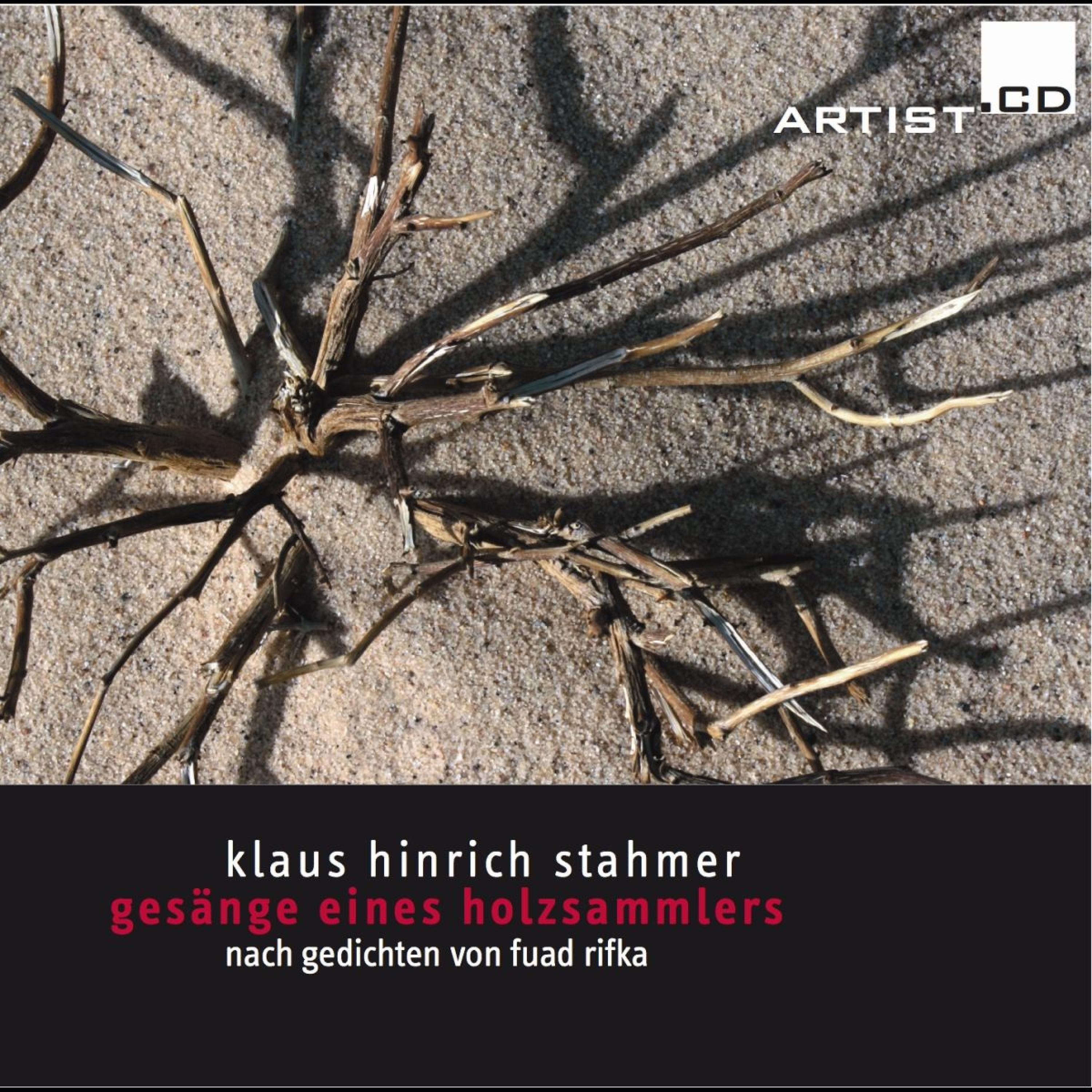 Постер альбома Stahmer: Gesänge eines Holzsammlers