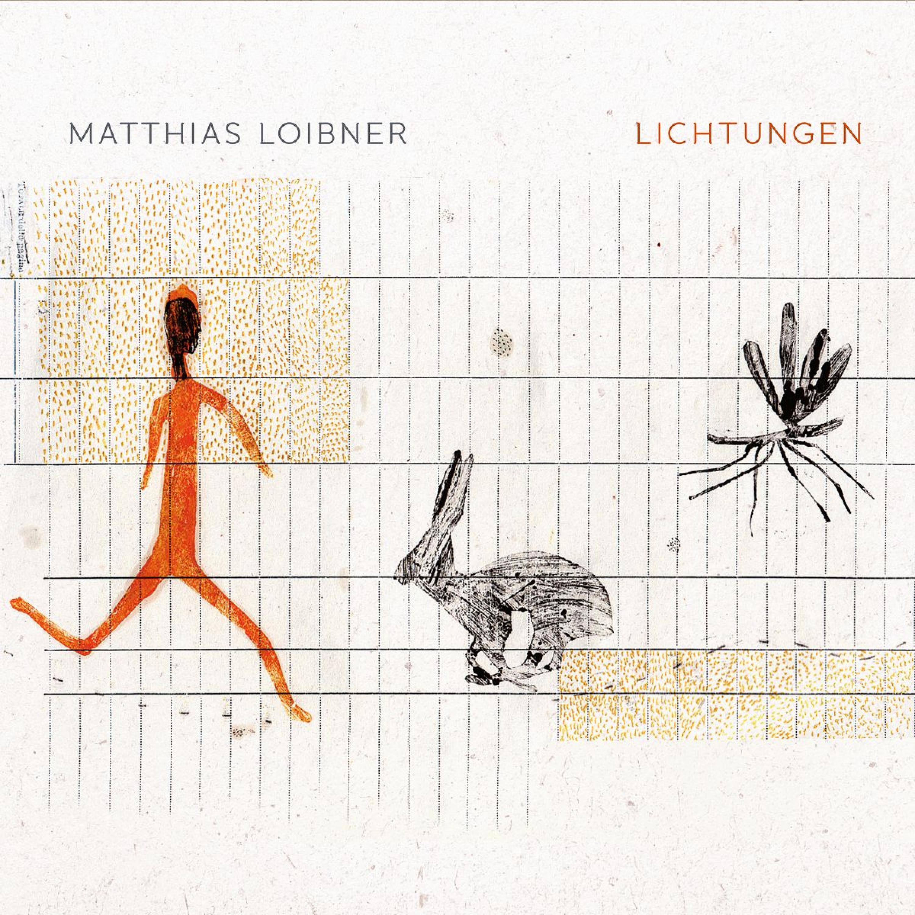Постер альбома Lichtungen