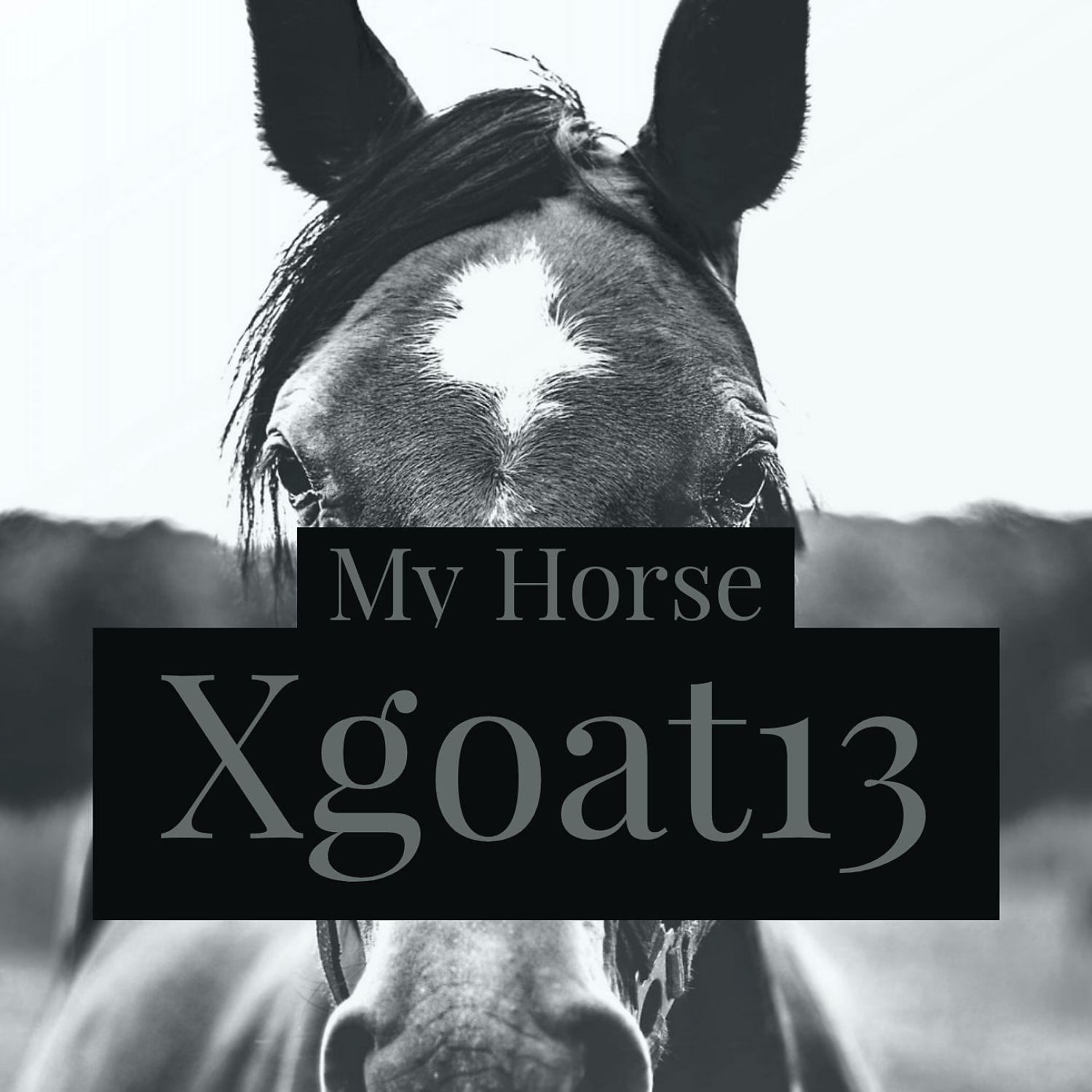 Постер альбома My Horse