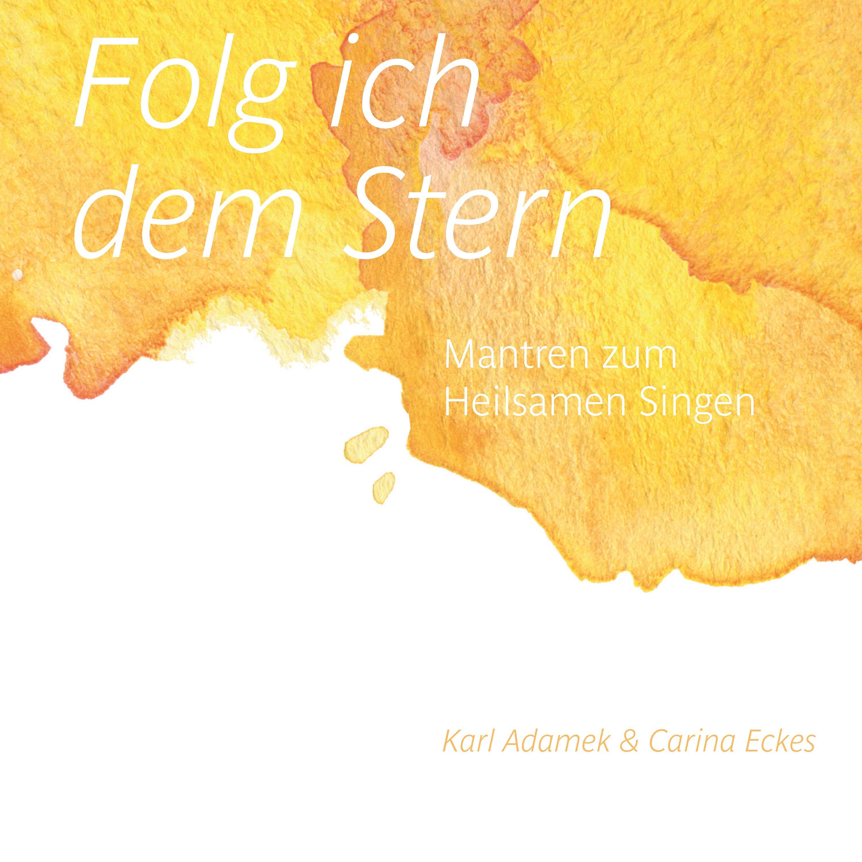 Постер альбома Folg ich dem Stern