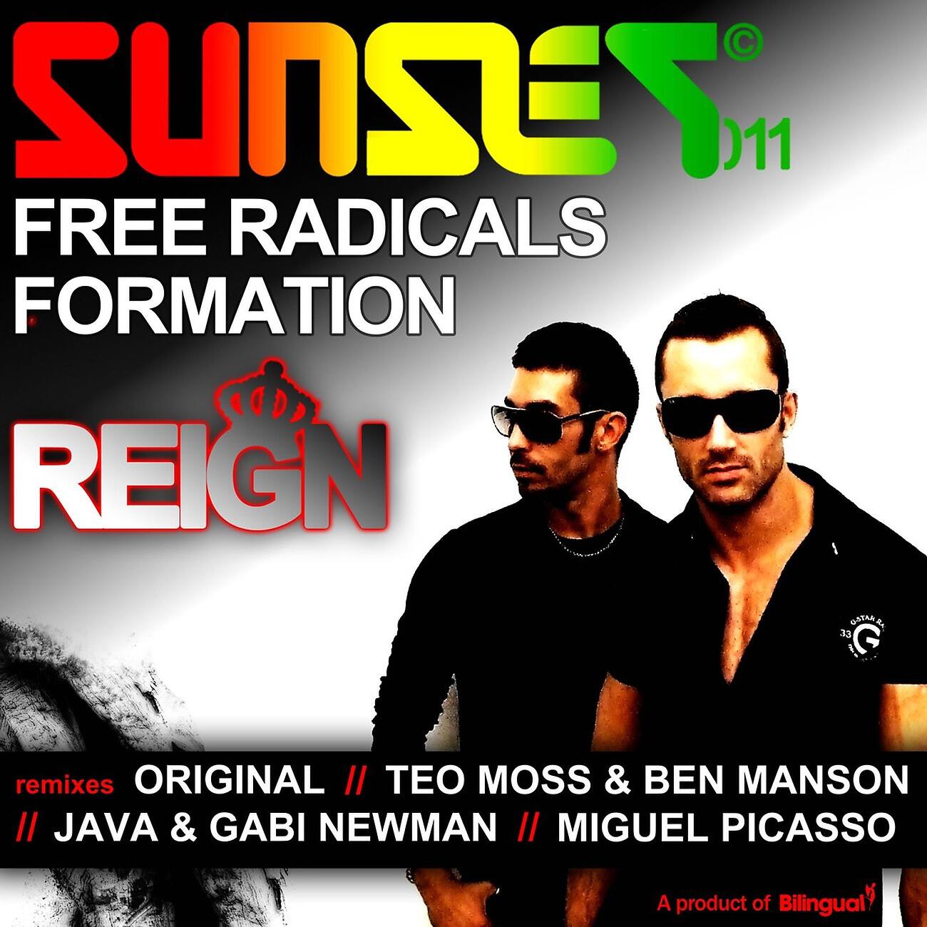 The Free Radicals Formation - Reign (Teo Moss & Ben Manson Remix)