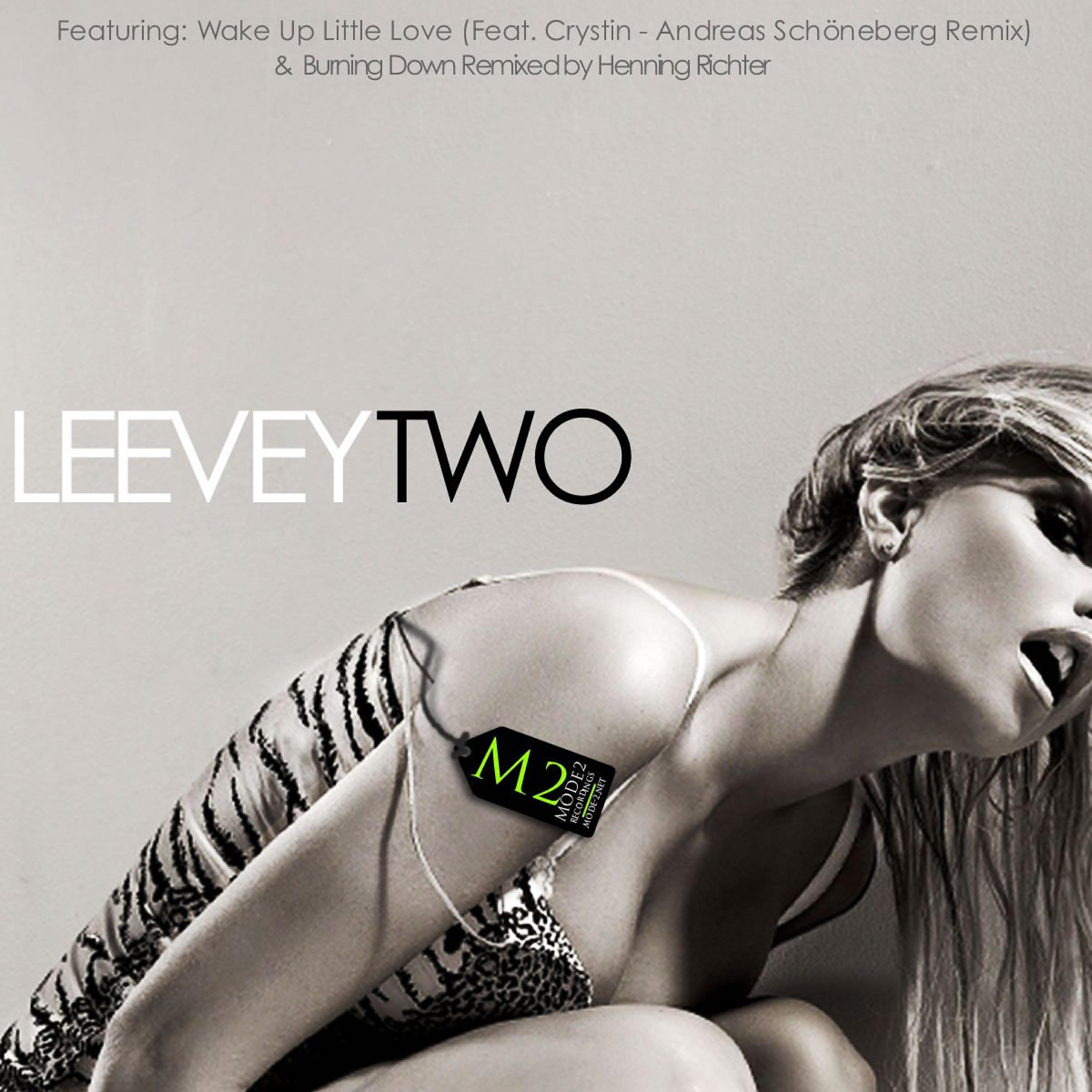 Leevey - Wake up Little Love (Feat. Crystin - Andreas Schöneberg Remix)