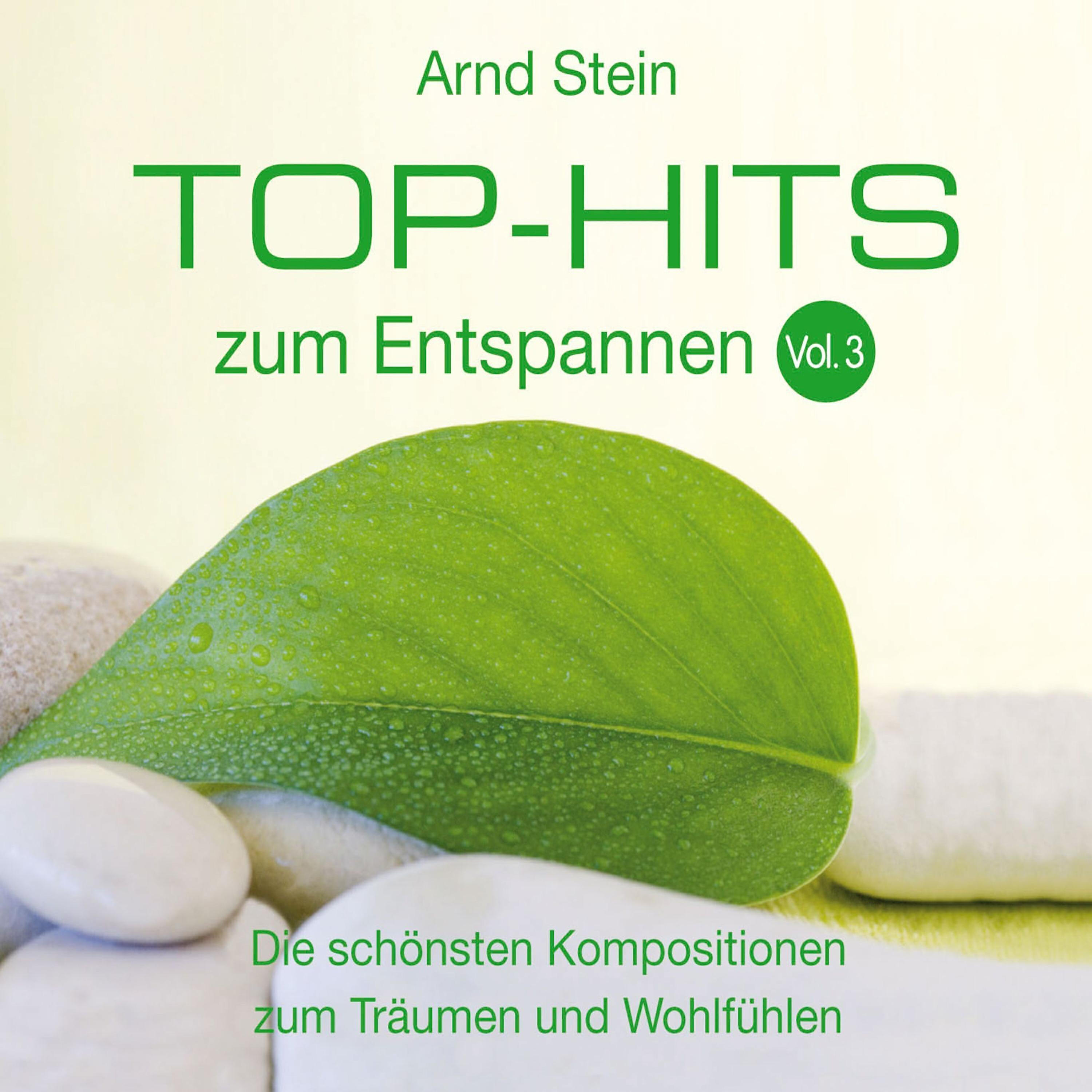Dr. Arnd Stein - Gedankenflug