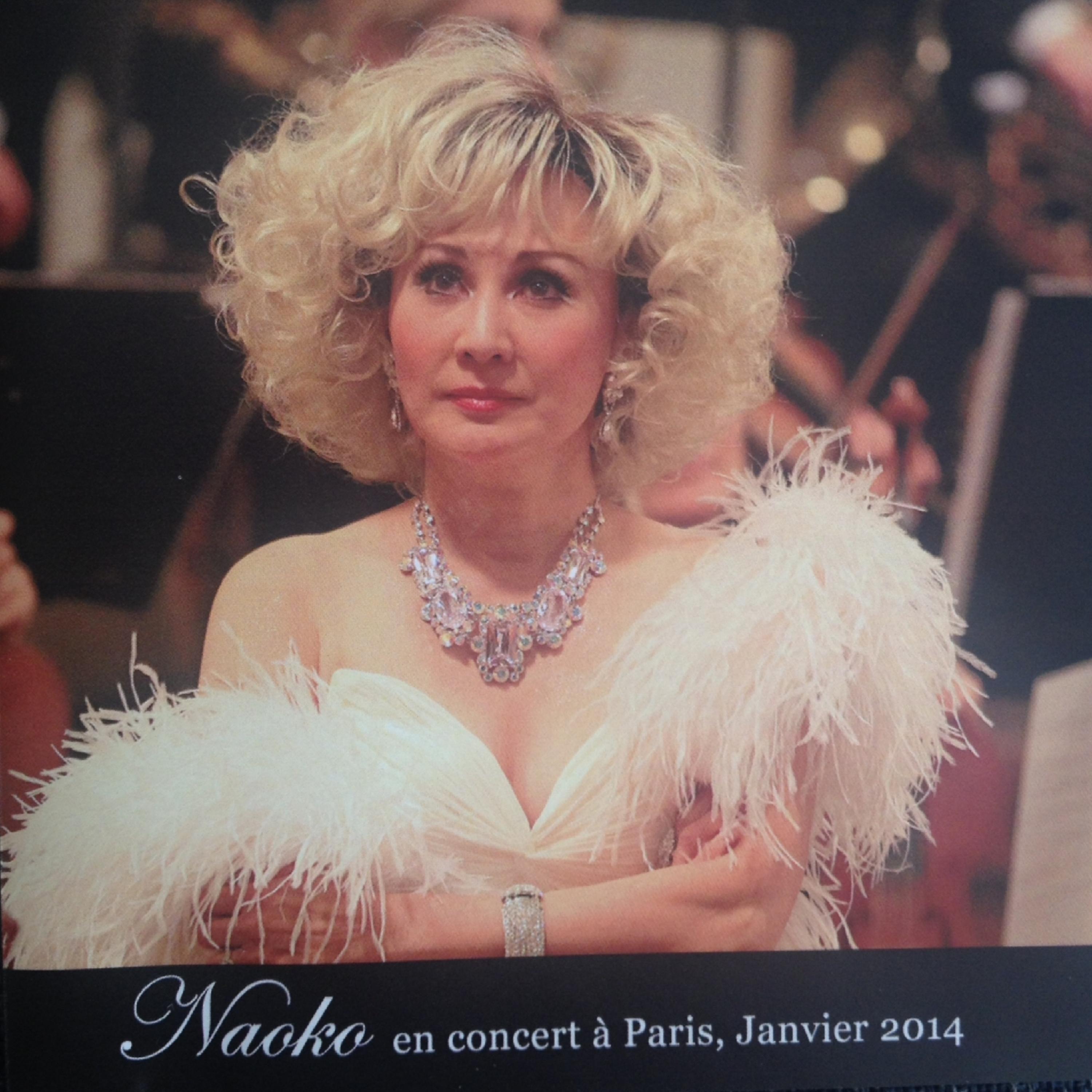 Постер альбома Paris, Concert January 2014