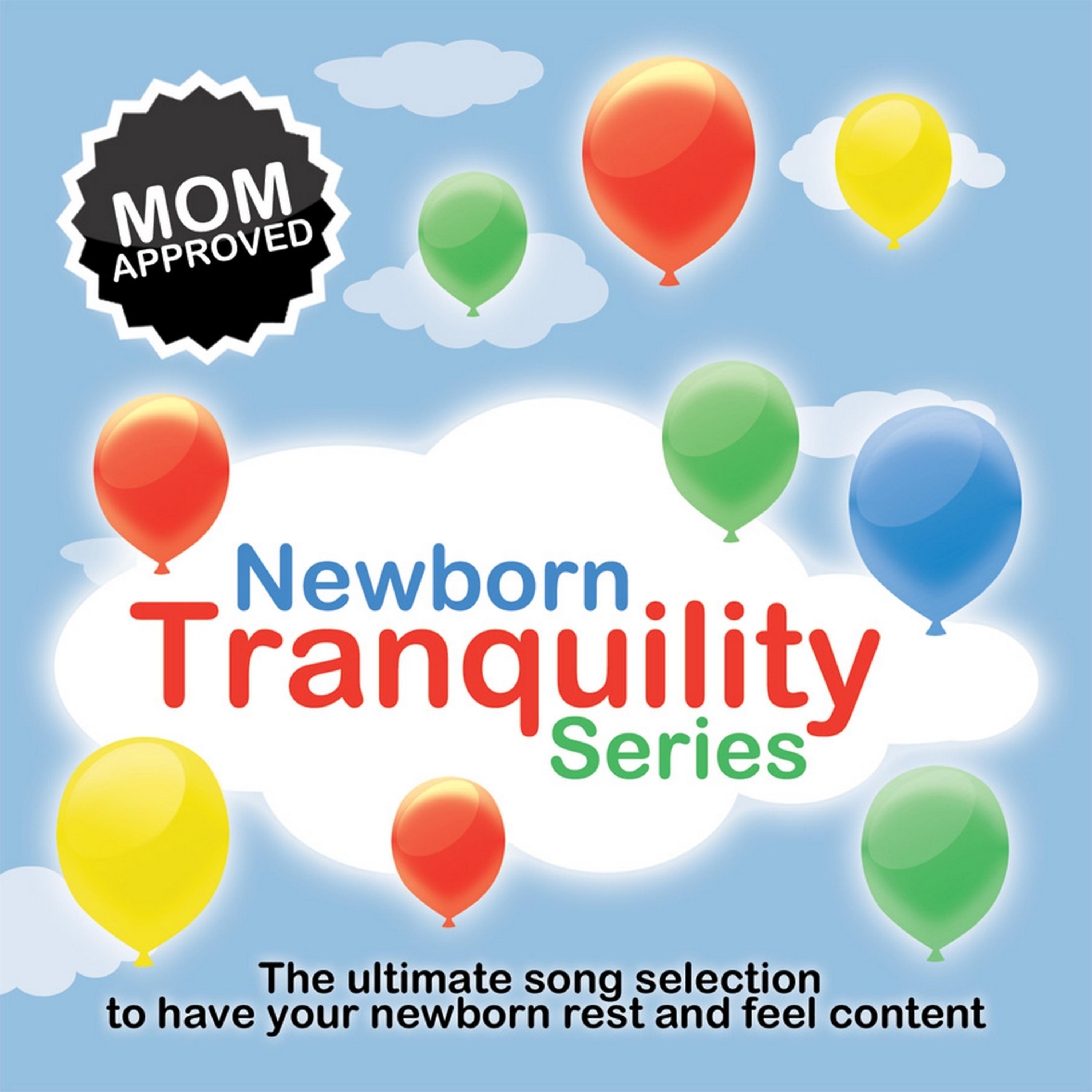 Постер альбома Newborn Baby Tranquility Series