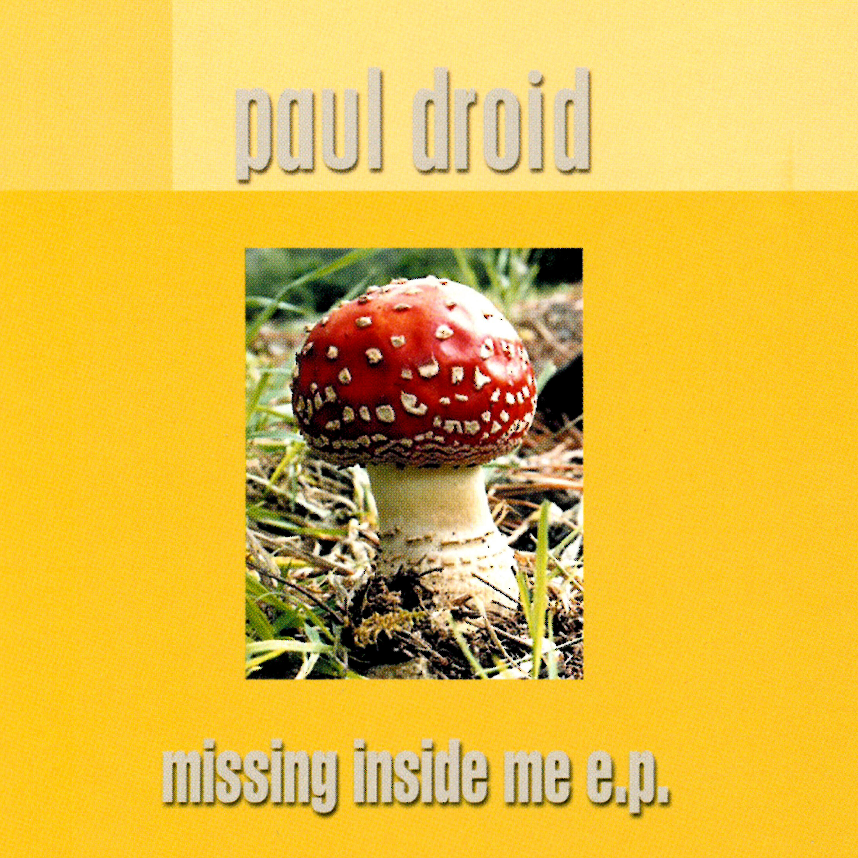 Paul Droid - Missing Inside Me (Radio Edit)