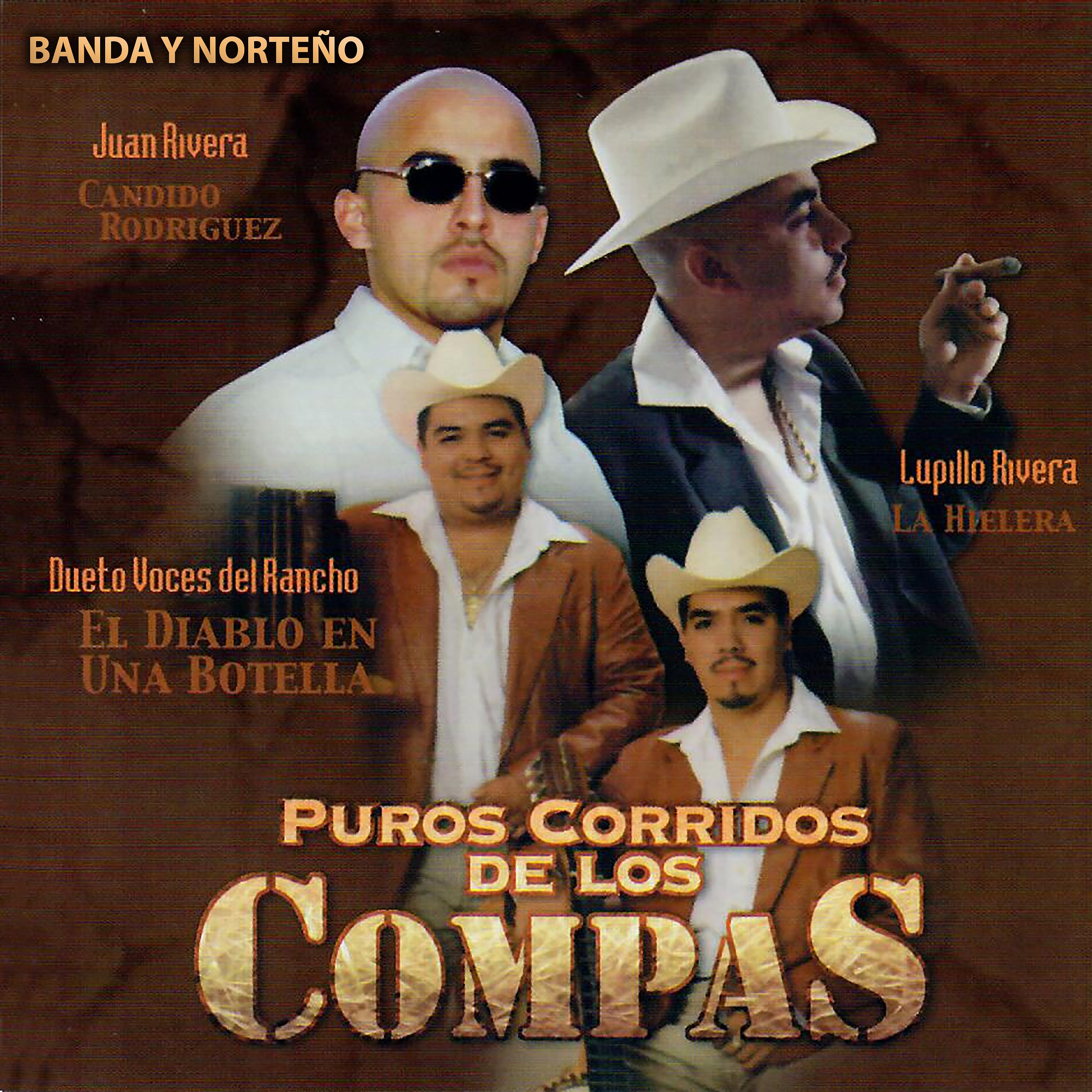 Постер альбома Puros Corridos de los Compas