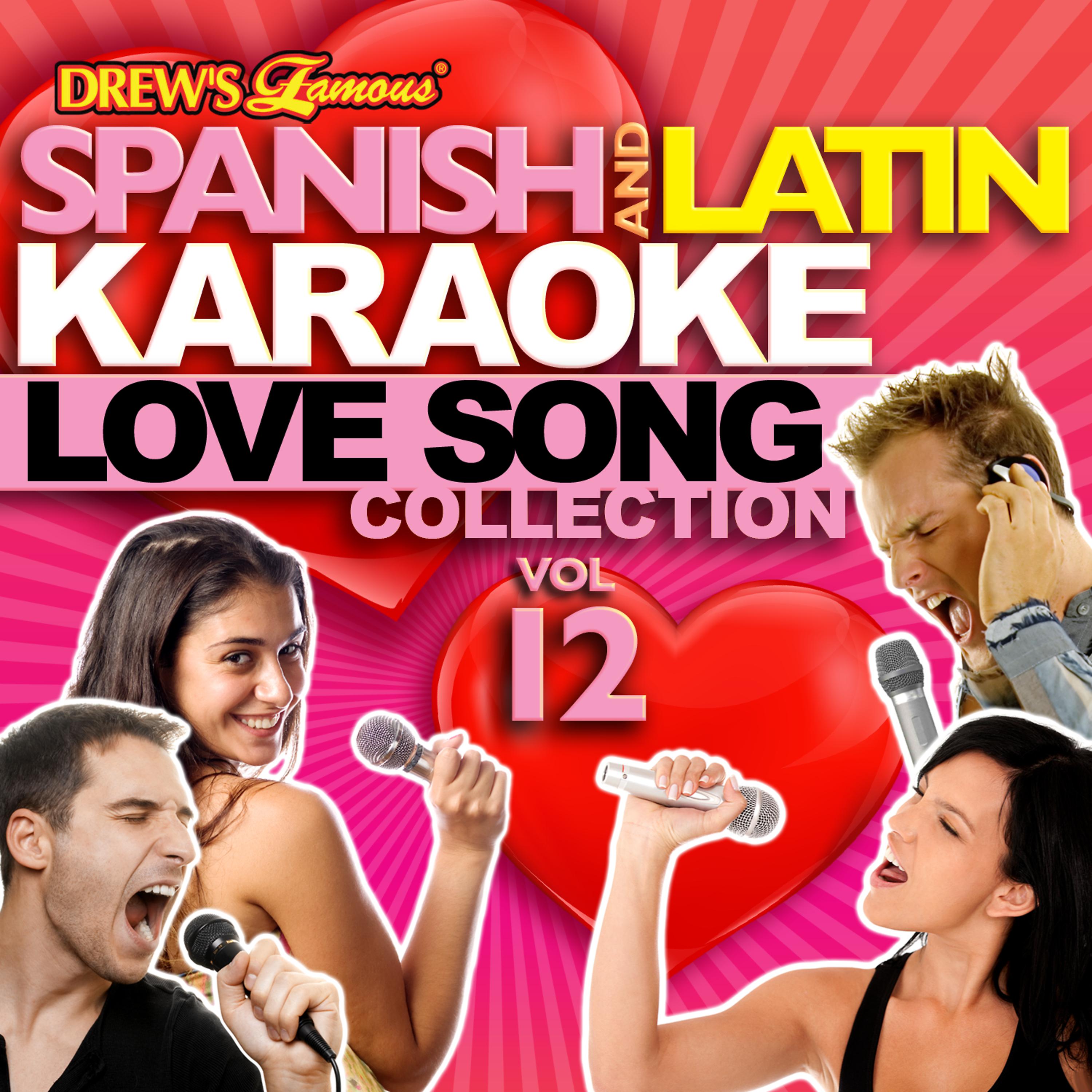 Постер альбома Spanish And Latin Karaoke Love Song Collection, Vol. 12