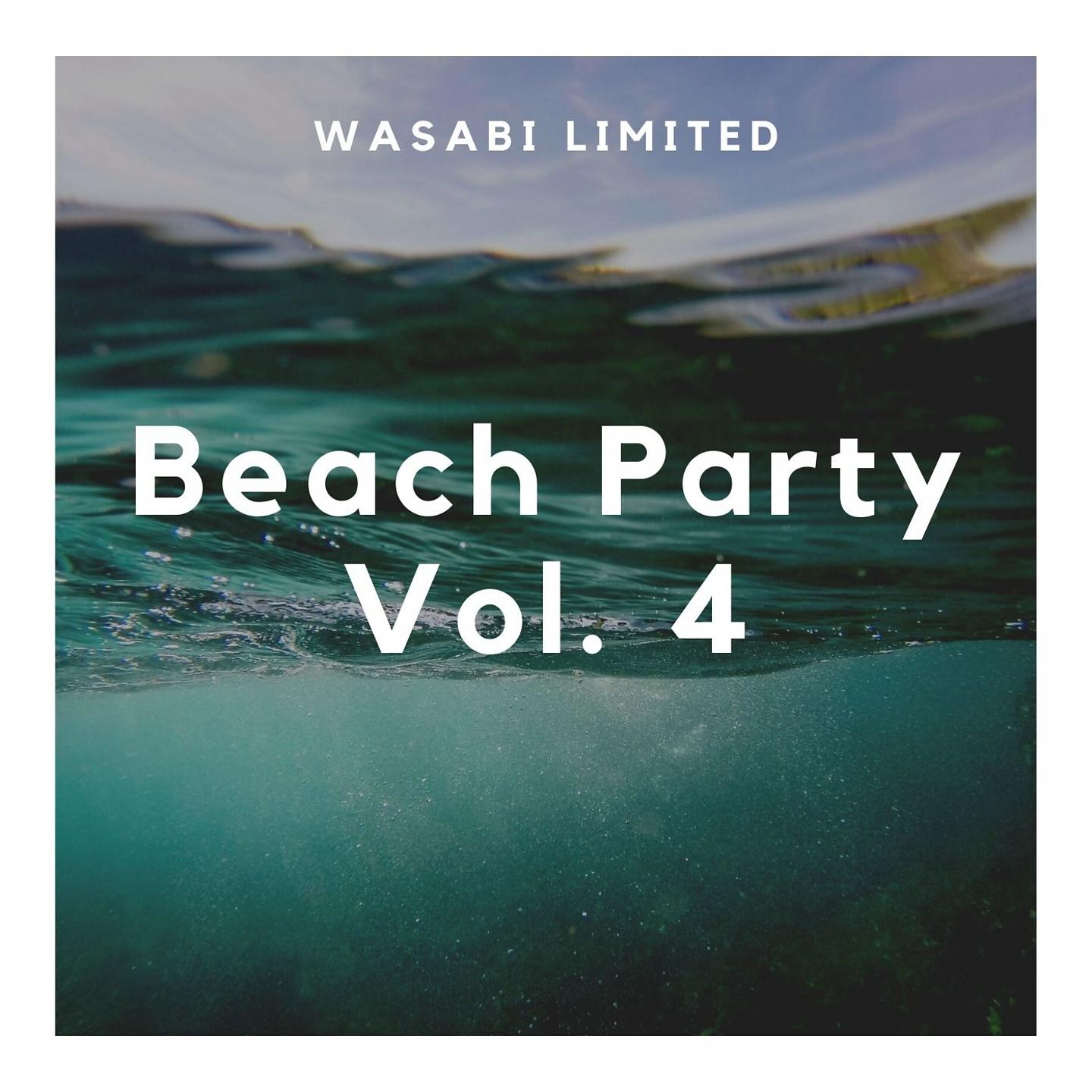 Постер альбома Beach Party Vol. 4