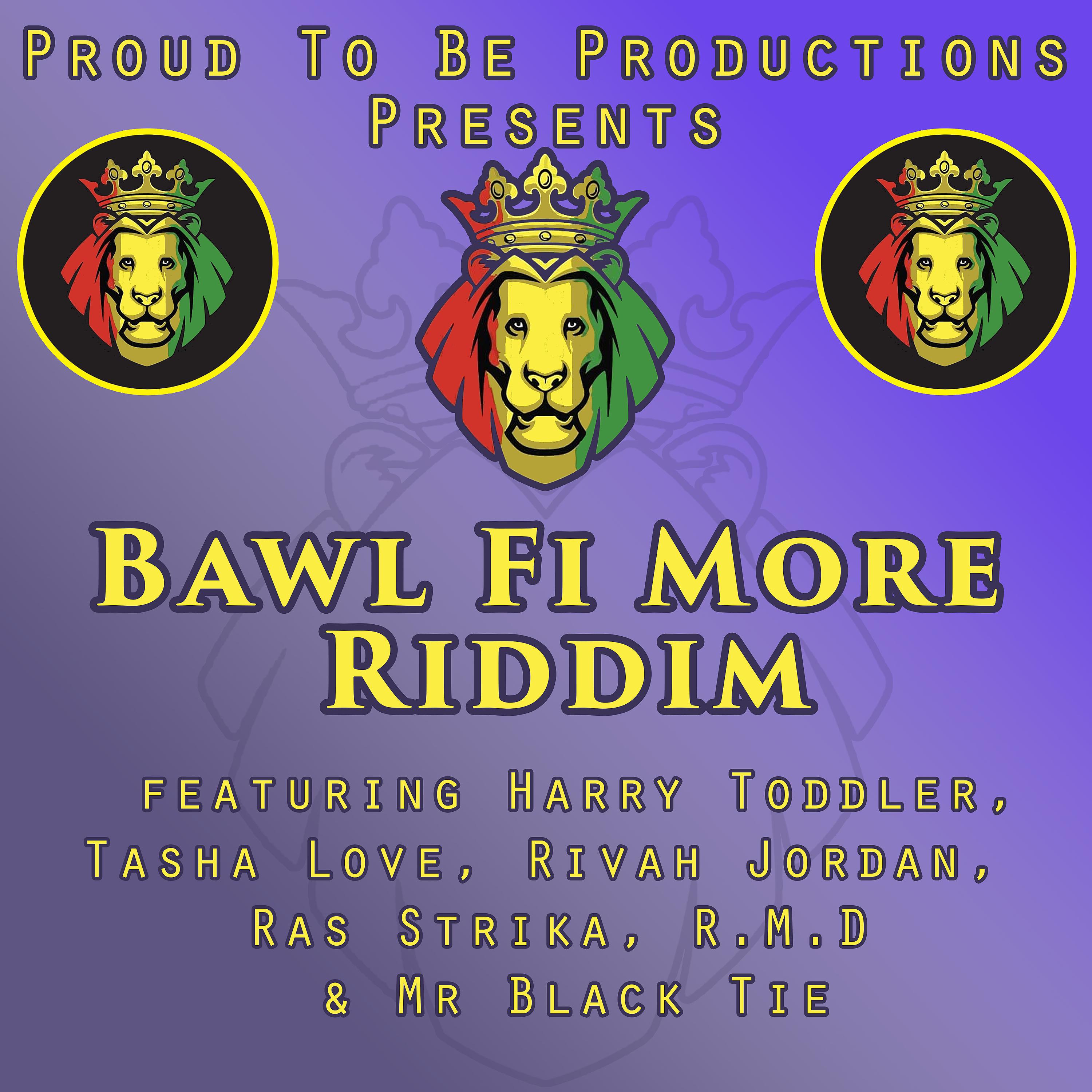 Постер альбома Bawl Fi More Riddim