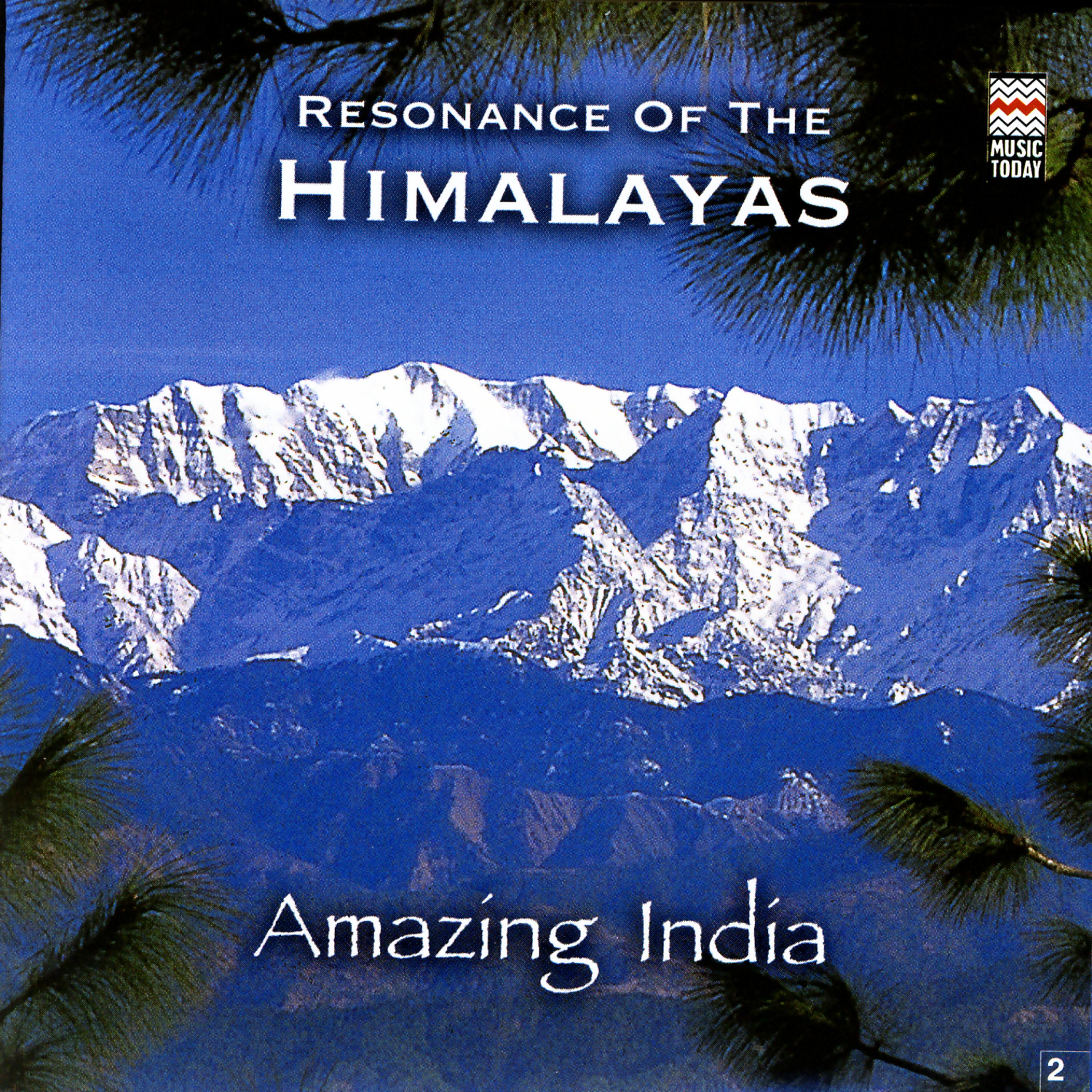 Постер альбома Resonance Of The Himalayas
