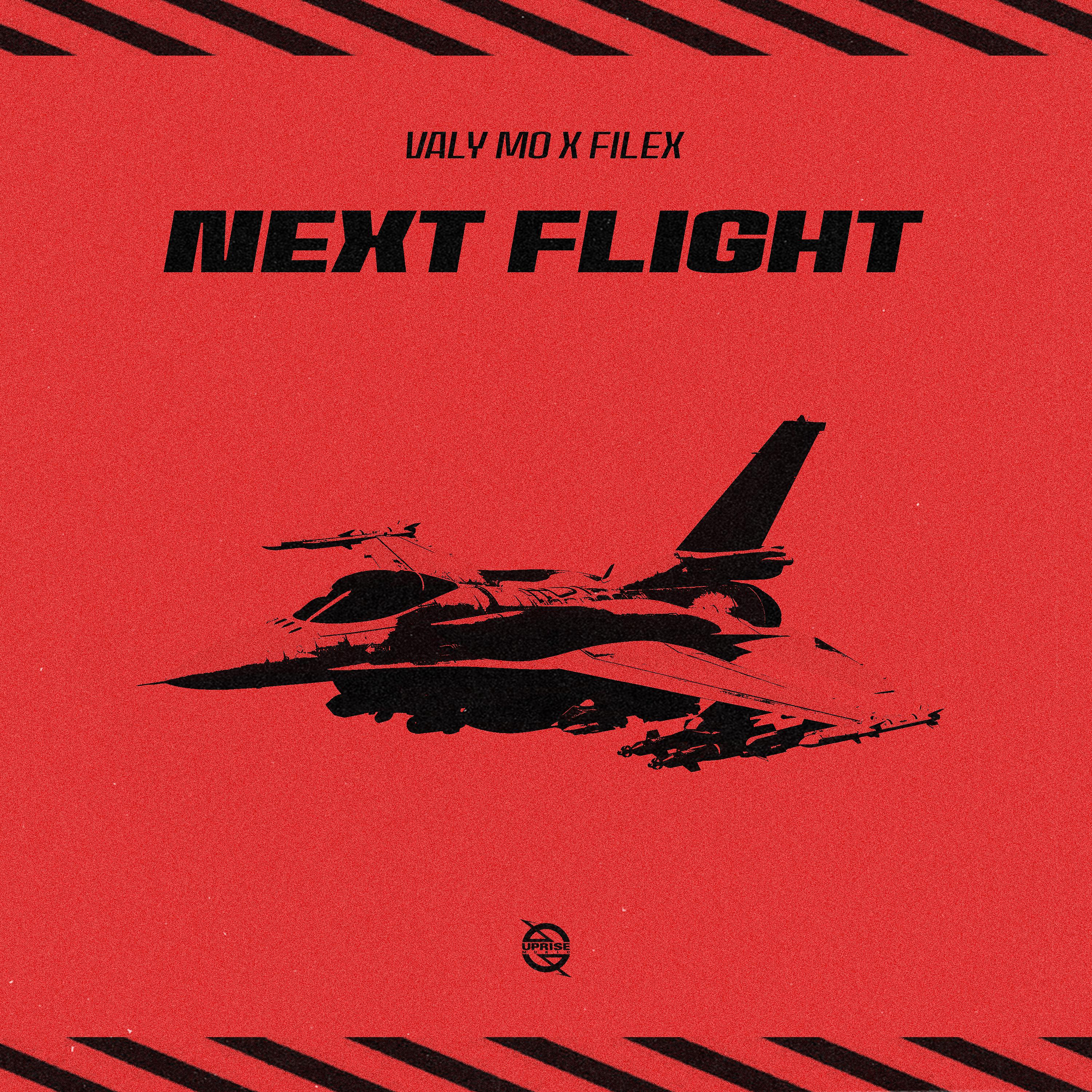 Постер альбома Next Flight