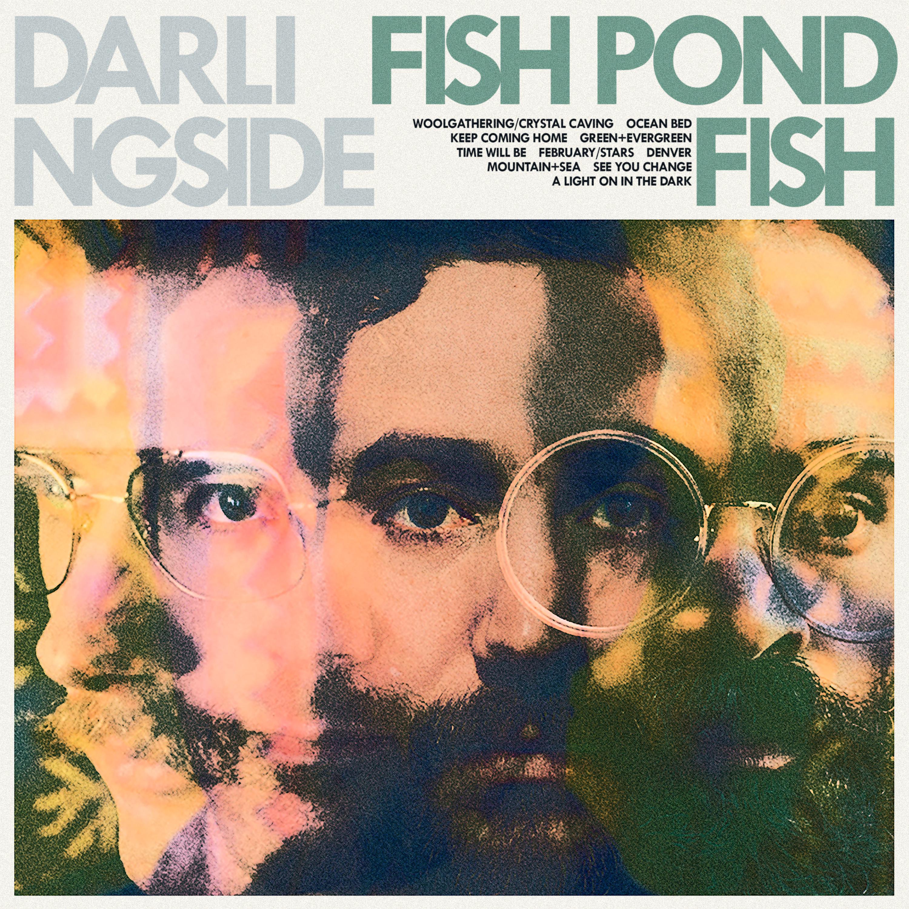 Постер альбома Fish Pond Fish