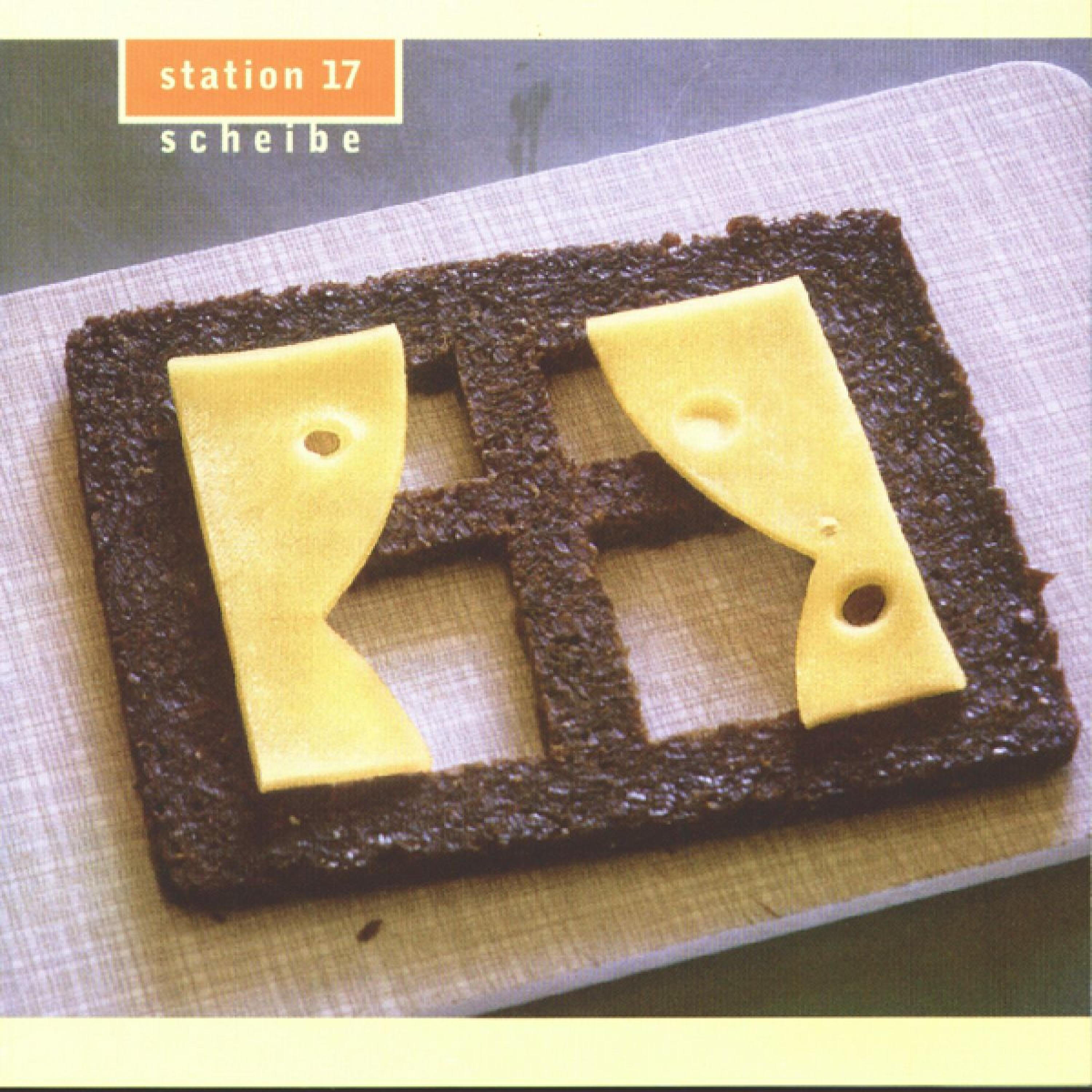 Station 17 - Ein Hund kam in die Küche