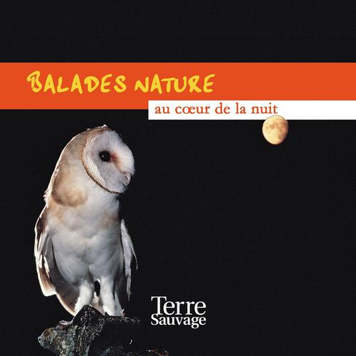Постер альбома Balades nature au coeur de la nuit