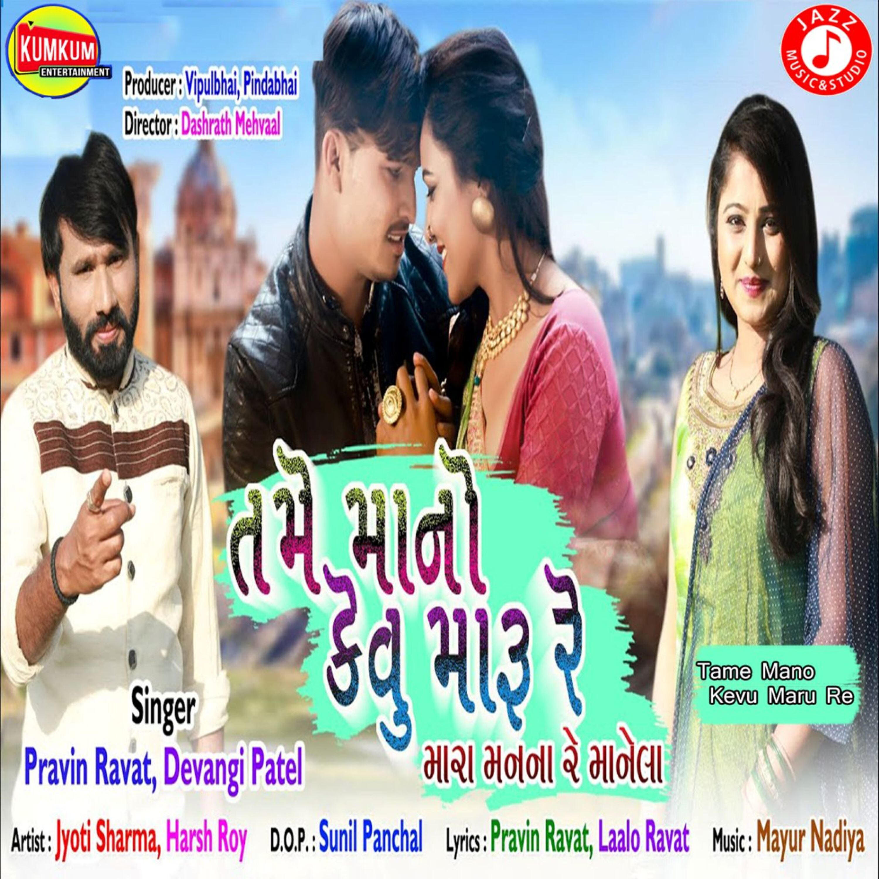 Pravin ravat - Tame Mano Kevu Maru Re