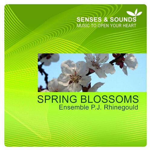 Ensemble P.J. Rhinegould - Drifting With Clouds