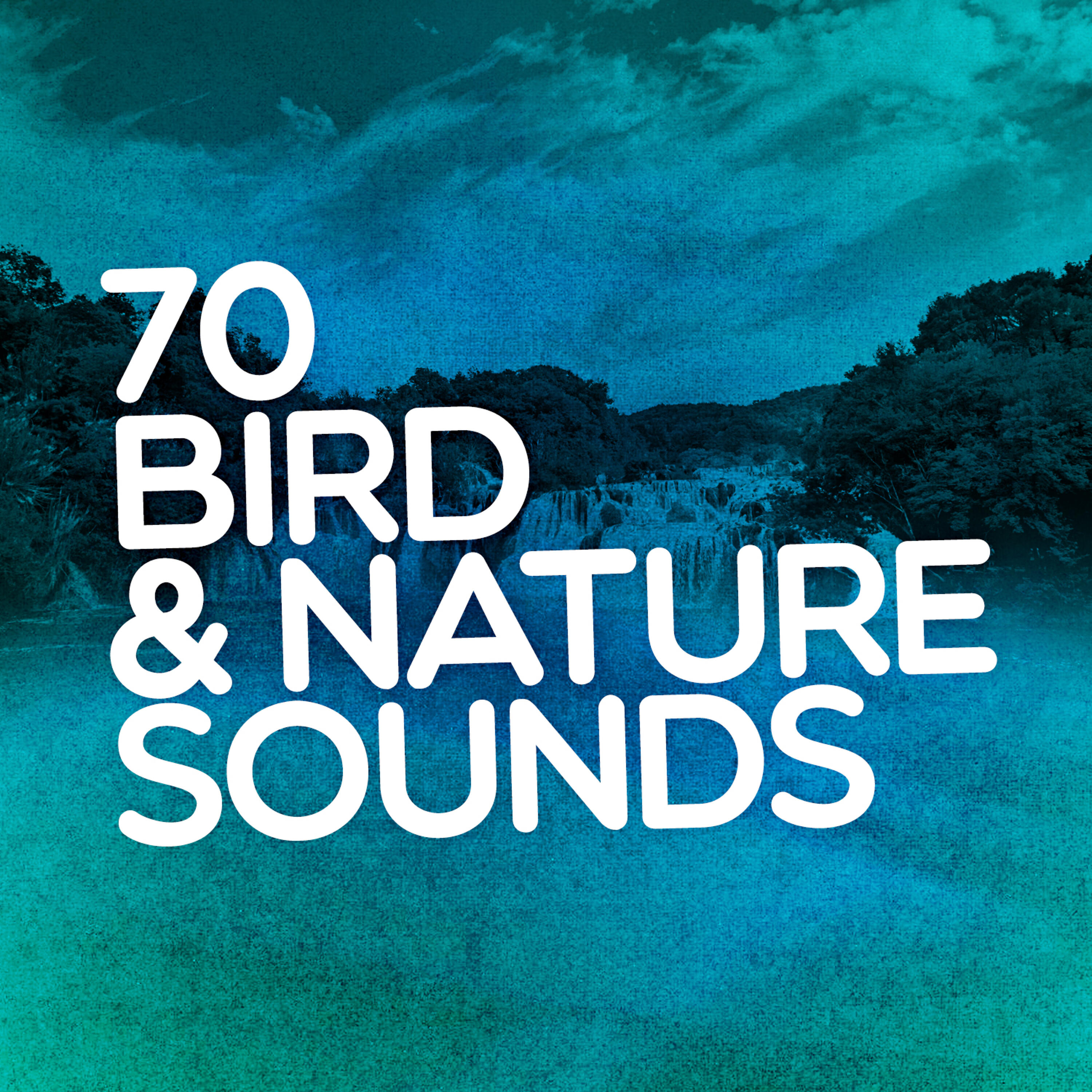 Green Meditation Sound Collectors - Bird Life Behind the Barn