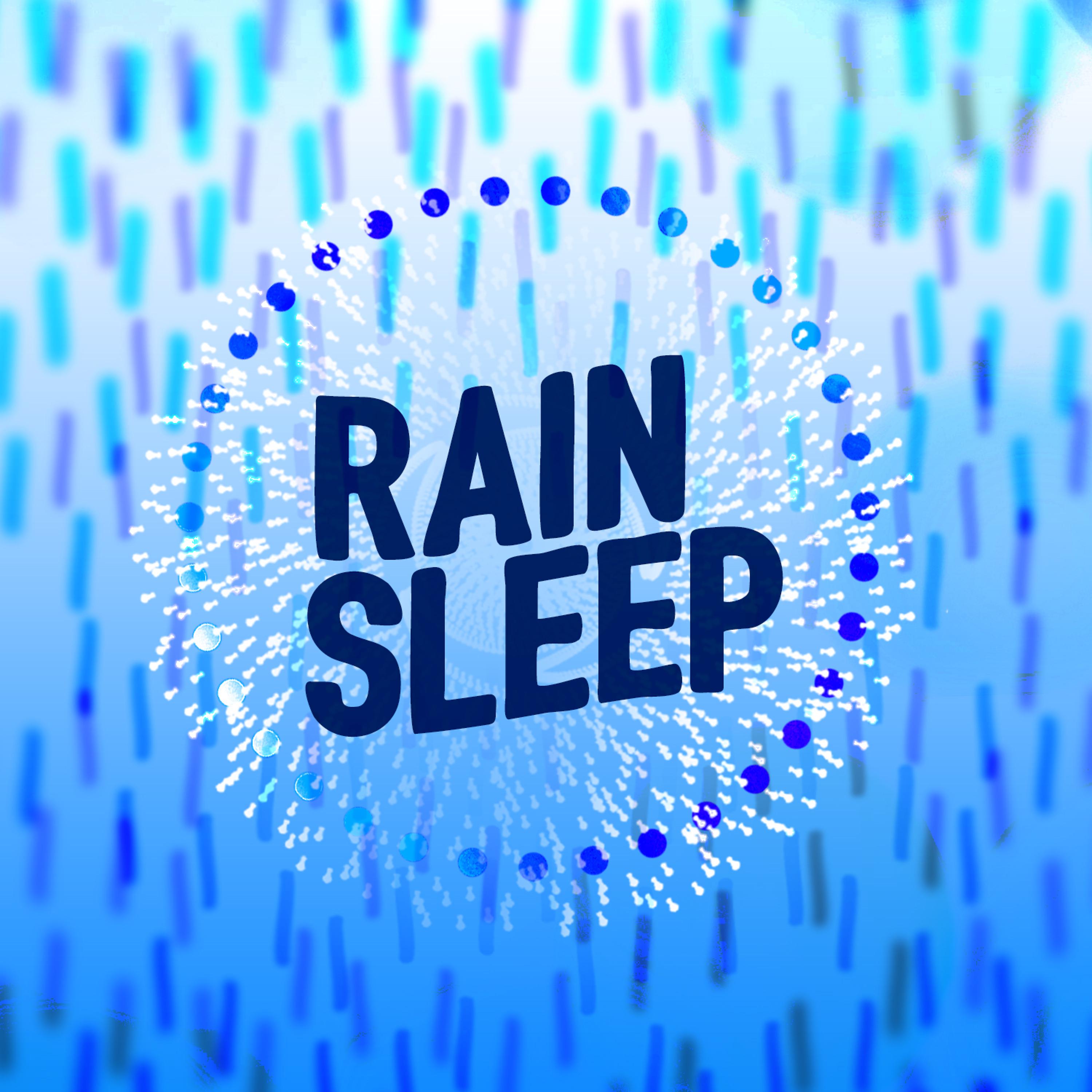 The Rain Sound Sleep Workshop - Hail Gives Way to Rain