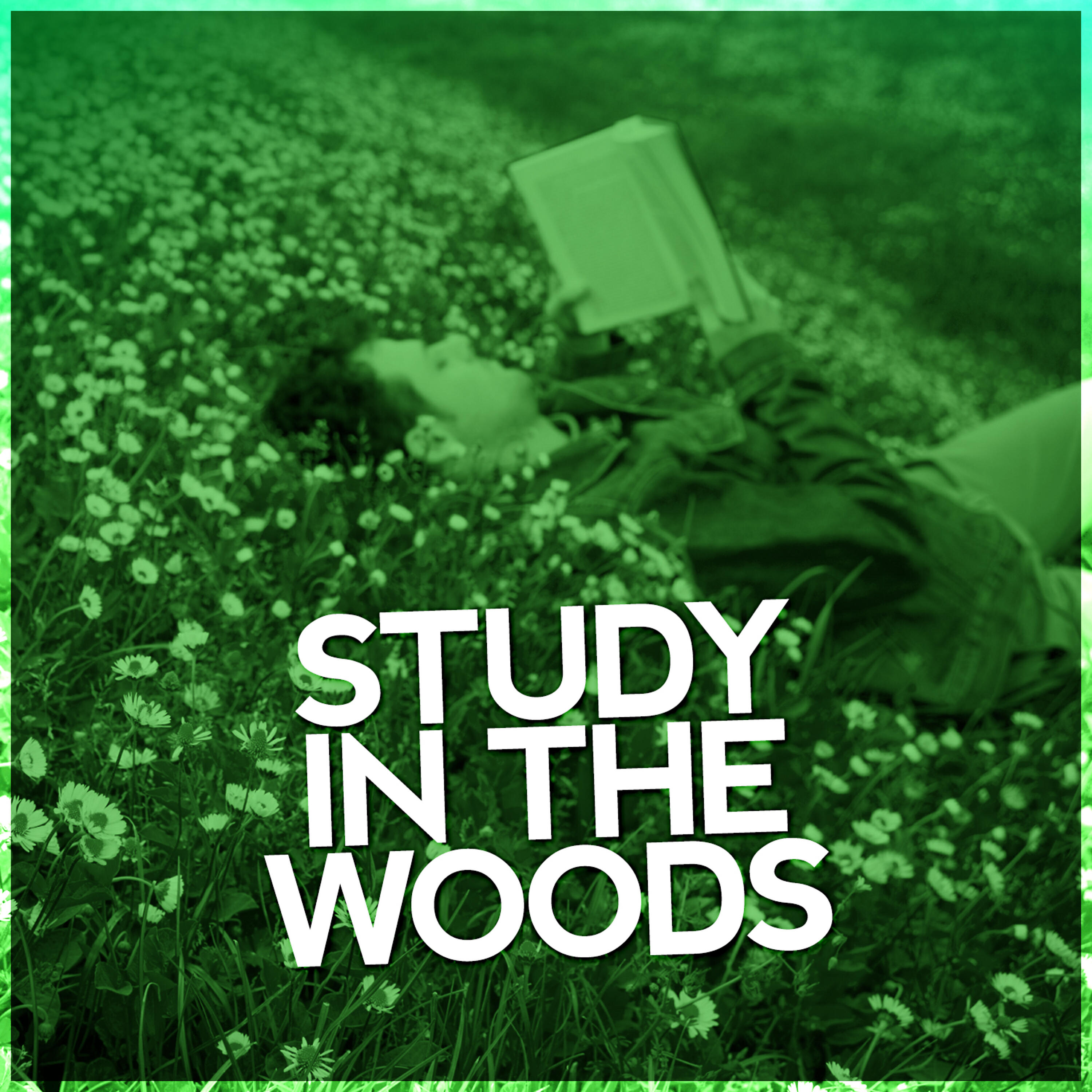 The Rain Sound Sleep Workshop - Chatter Above