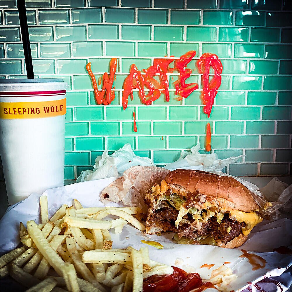 Wasteland 2 обзор. Sleeping wolf группа. 2 wolves - unwritten names [single] (2019). Wasted wolf. слово debris.