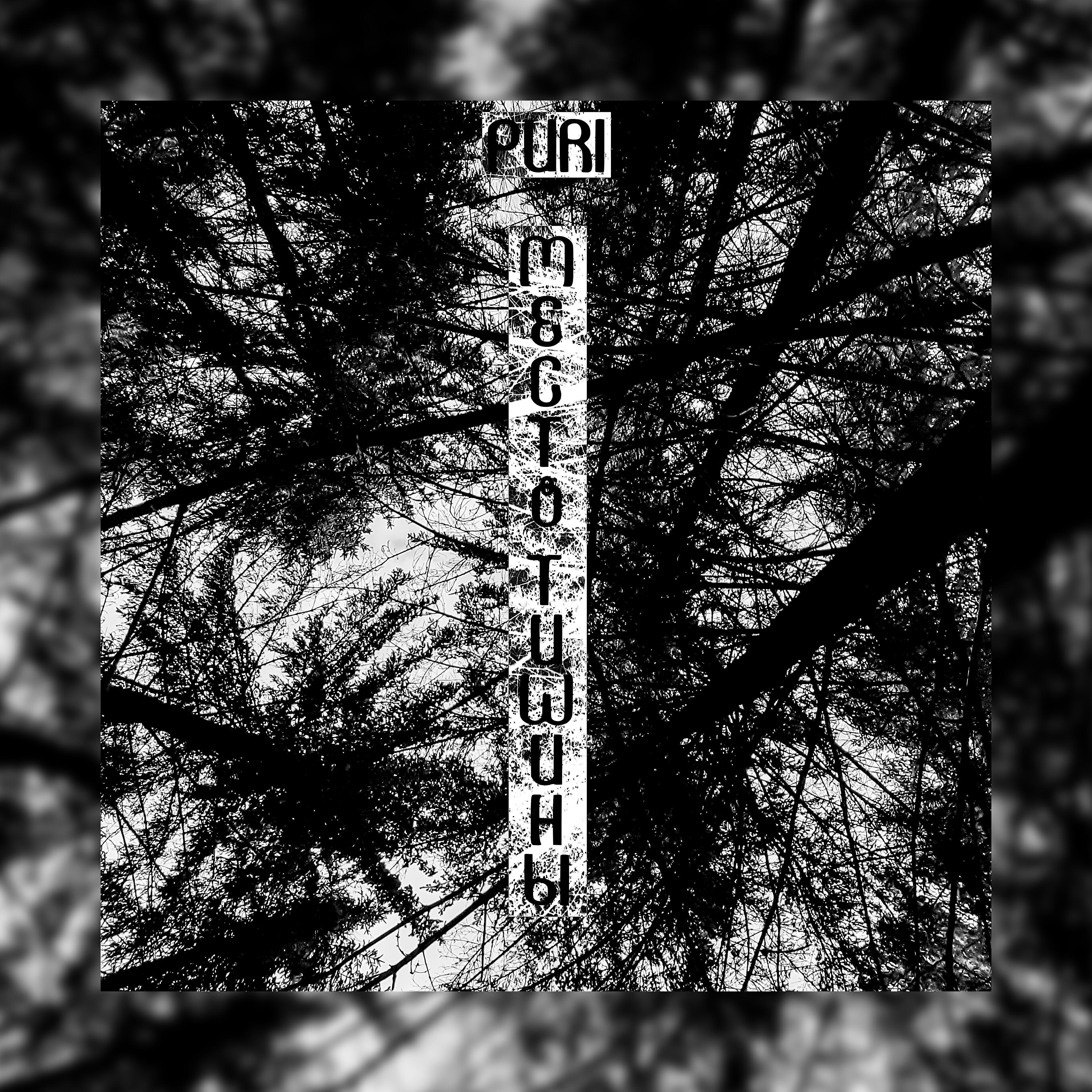 PURI - Не найти