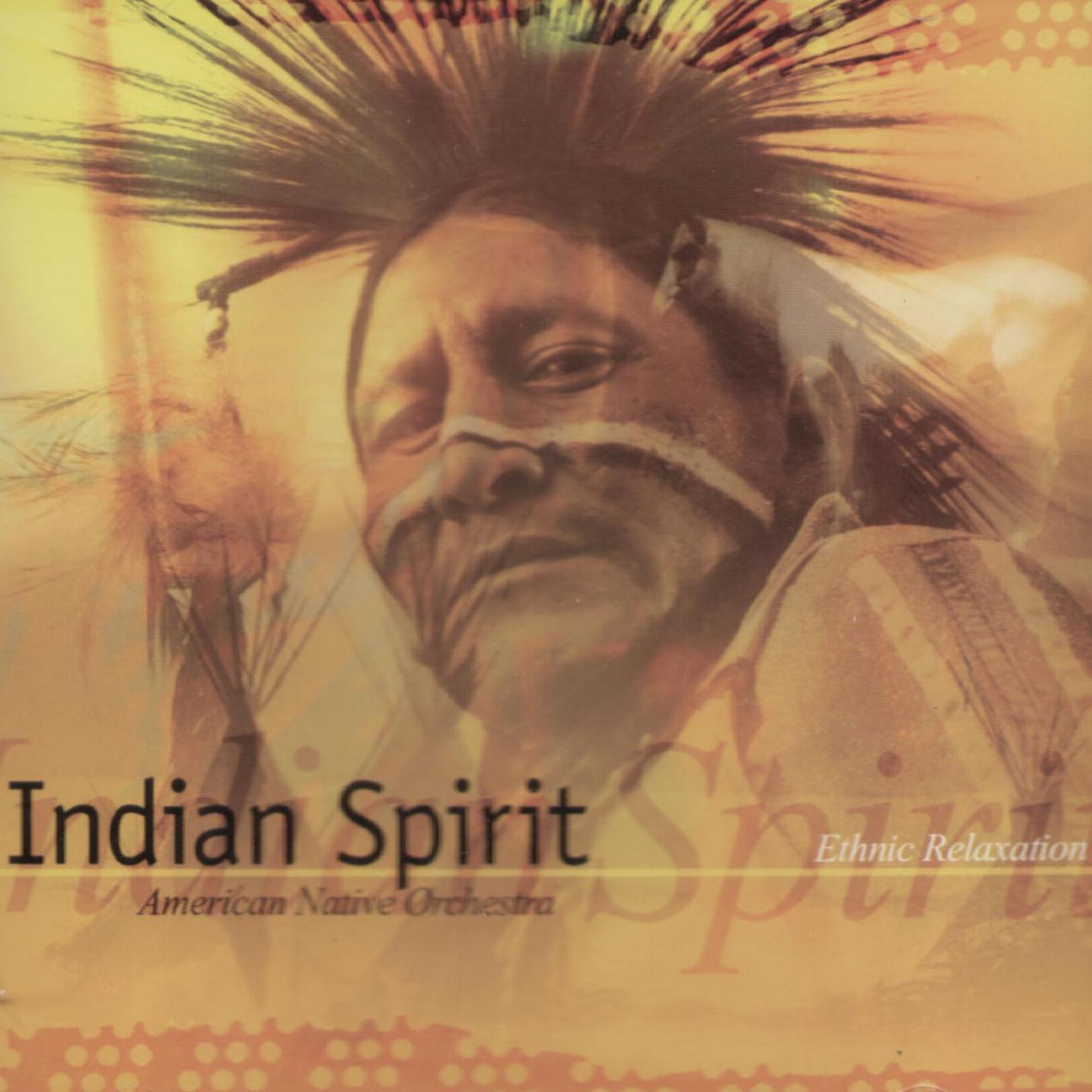 Постер альбома Indian Spirit