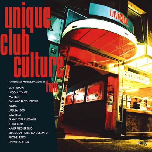 Постер альбома Unique Club Culture Vol.2