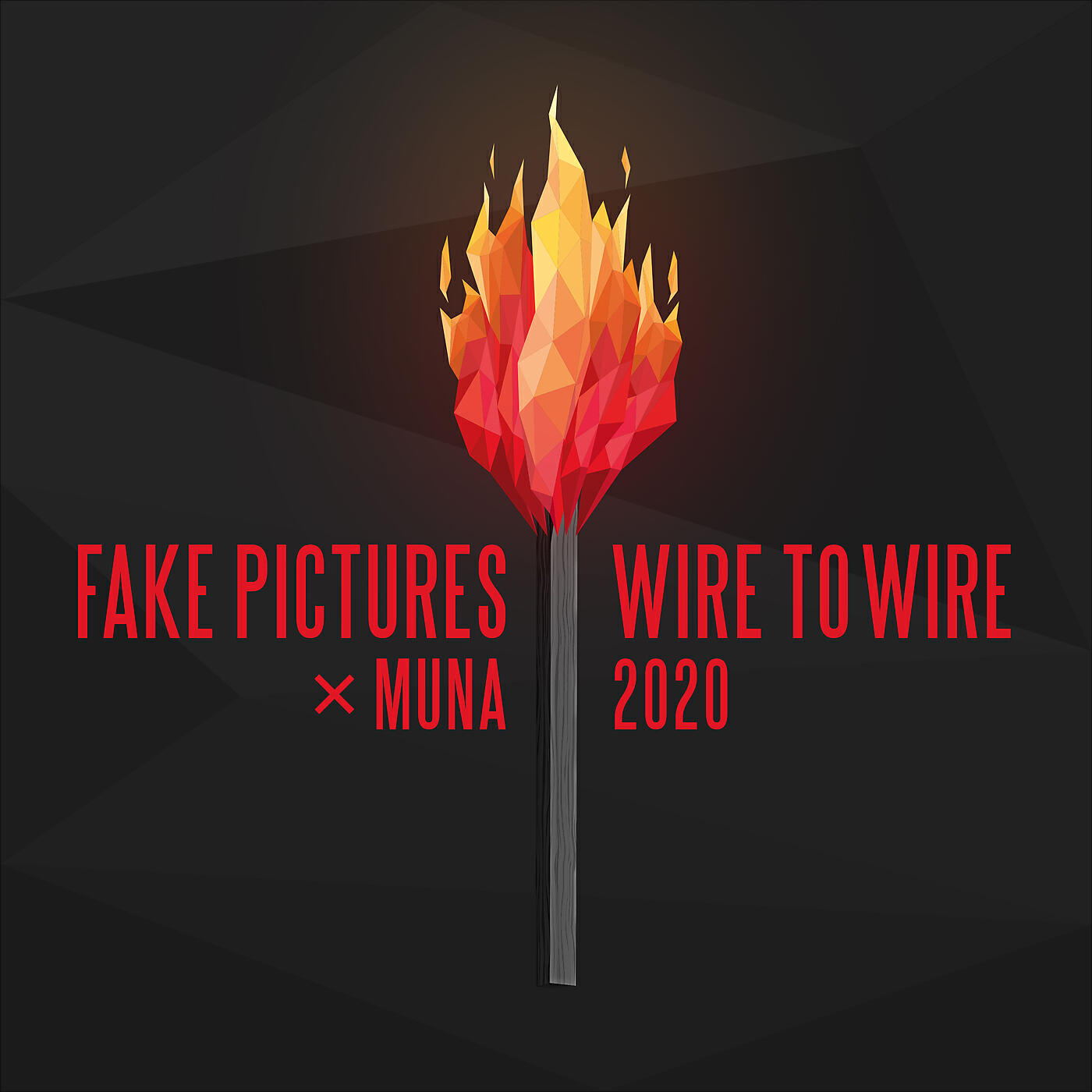 Fake Pictures - Wire To Wire 2020