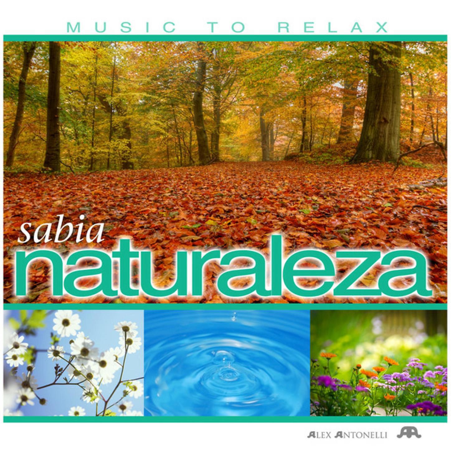 Music to Relax - Vida Interior