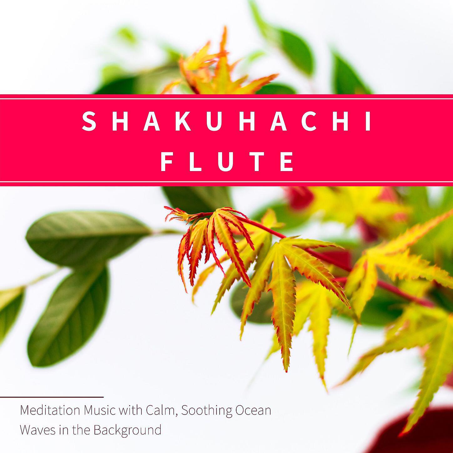 Bella's Lullaby - Shakuhachi Flute