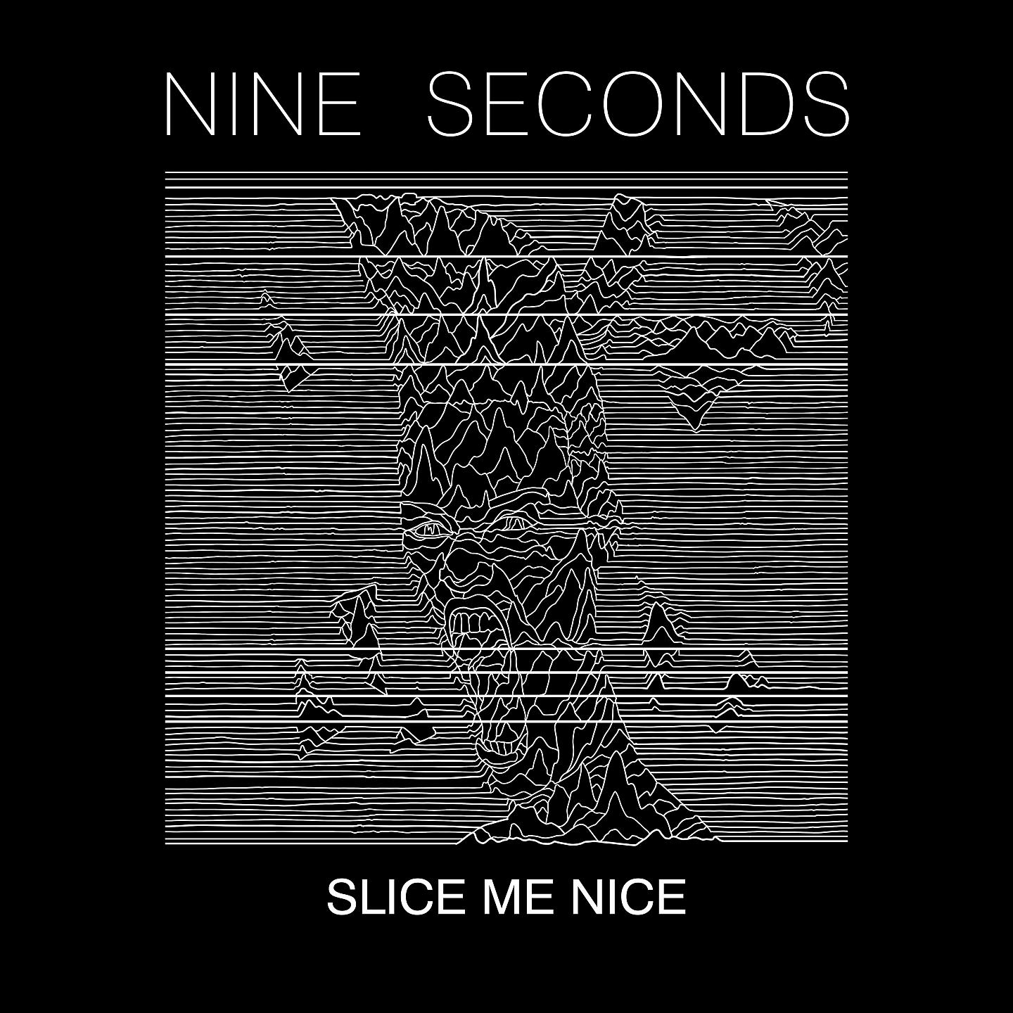 Постер альбома Slice Me Nice