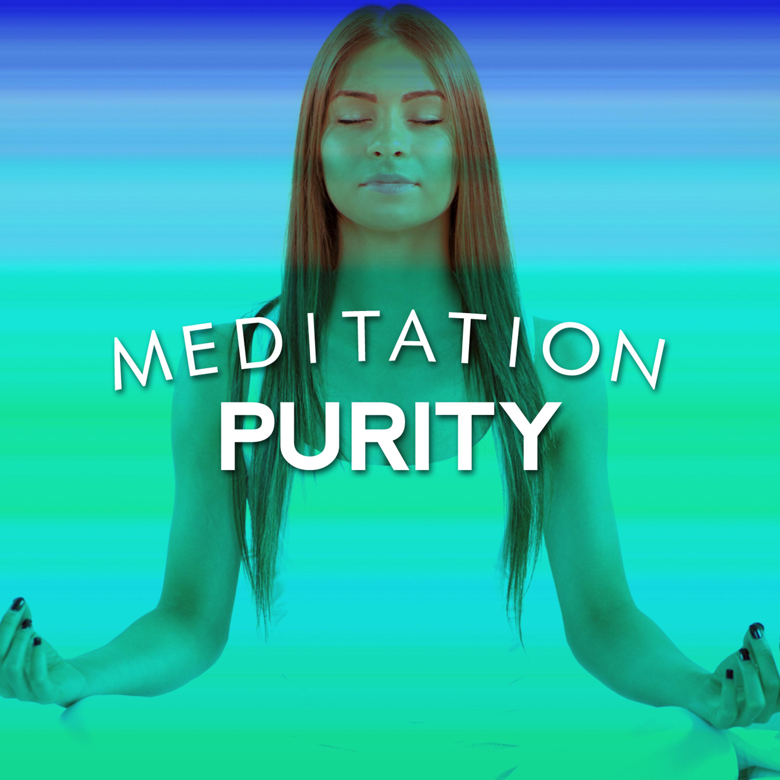 Постер альбома Meditation Purity