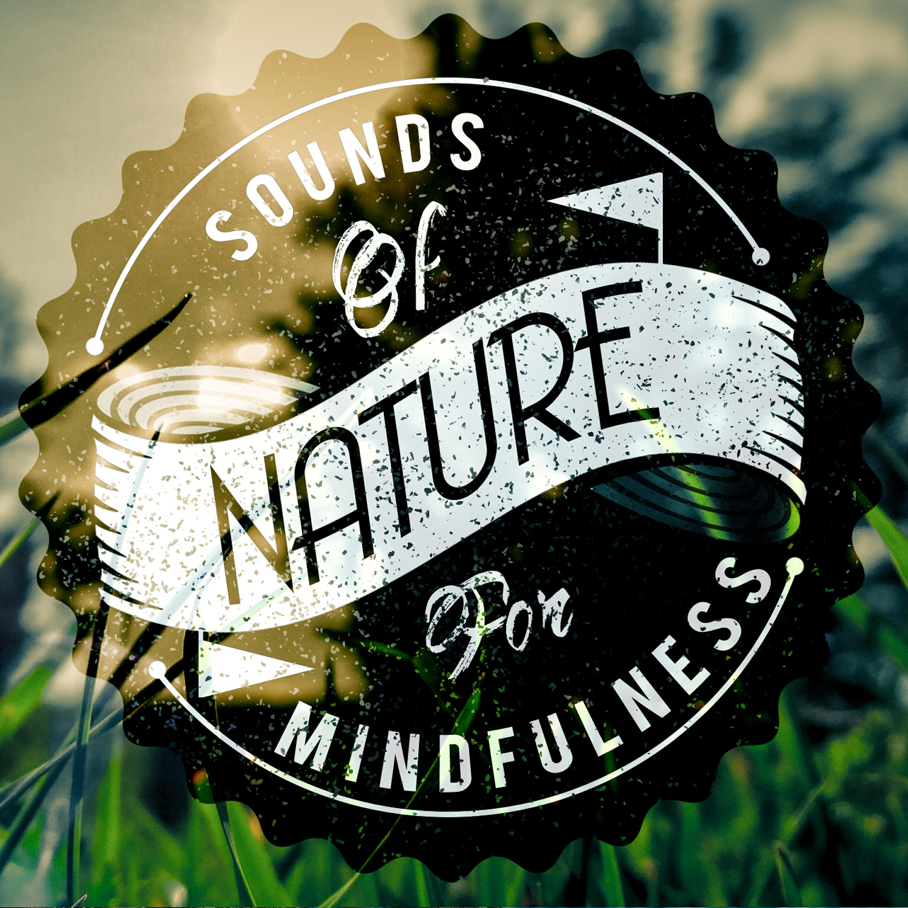 Sounds of Nature White Noise for Mindfulness - Rill Through the Trees