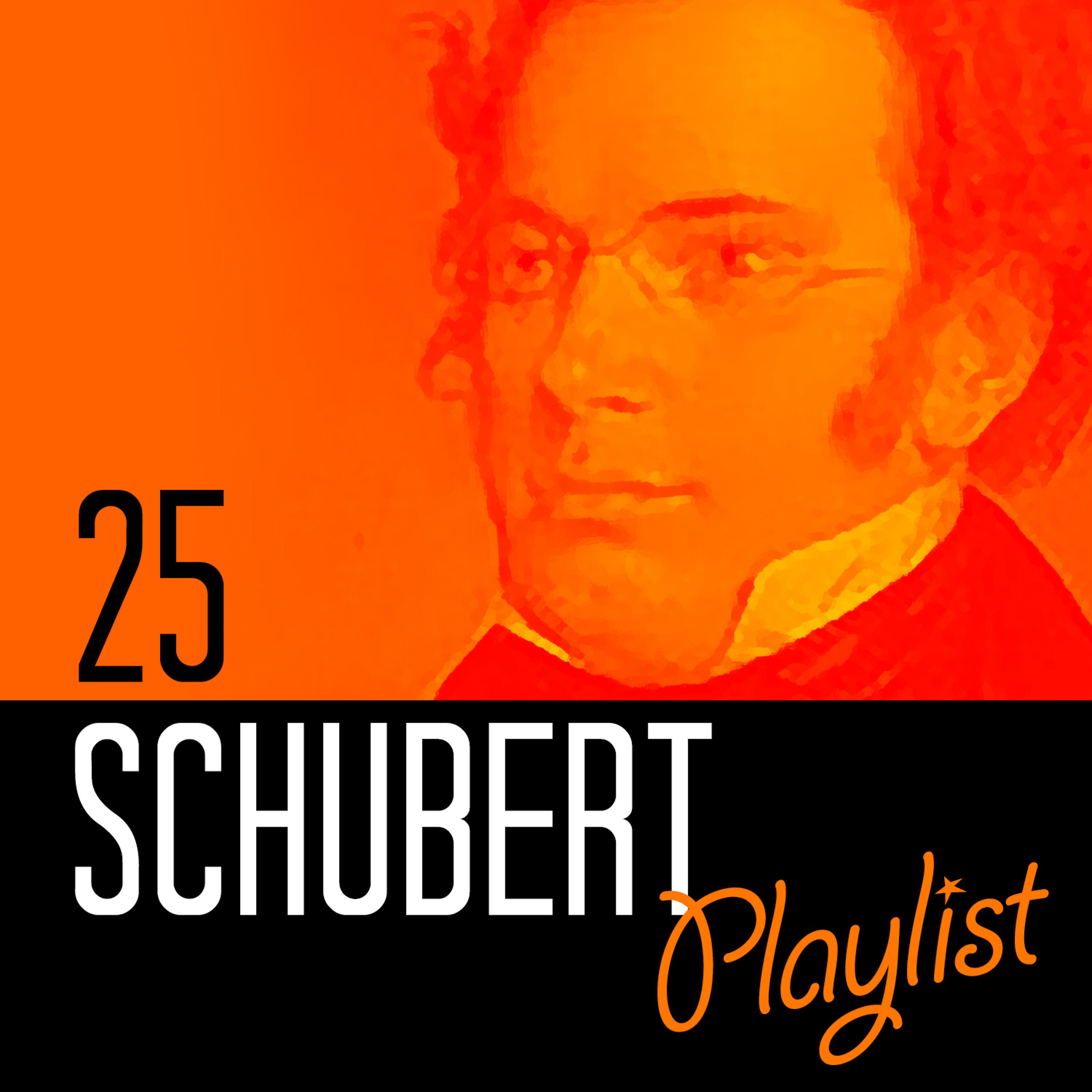 Постер альбома 25 Schubert Playlist