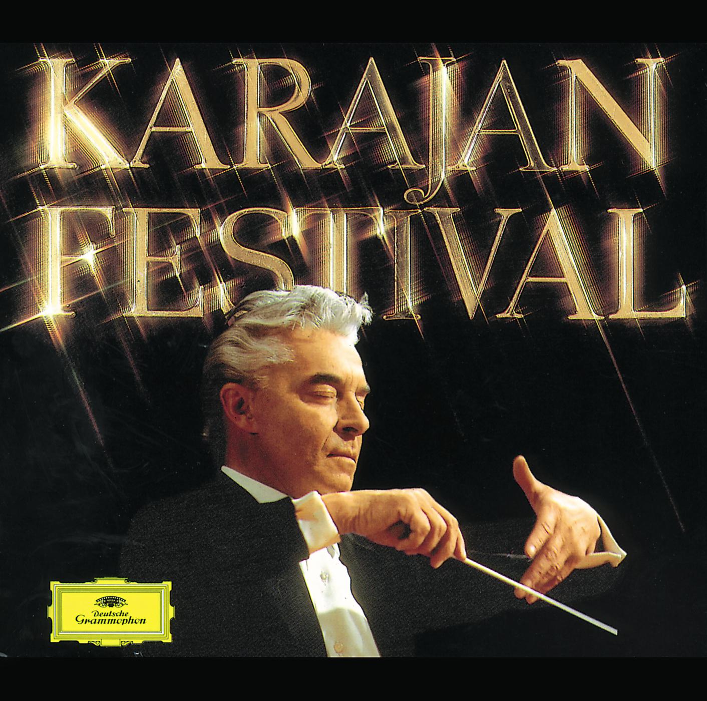 Постер альбома Karajan Festival