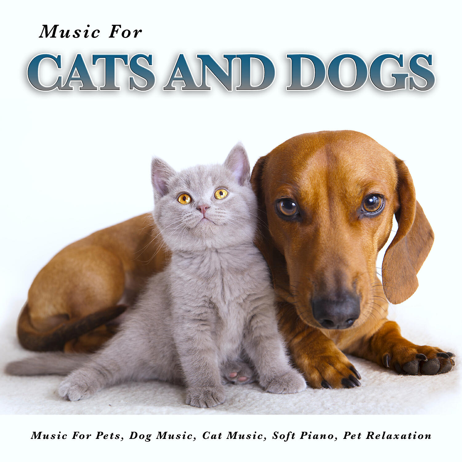 Cat Music - The Best Music for Man's Best Friend