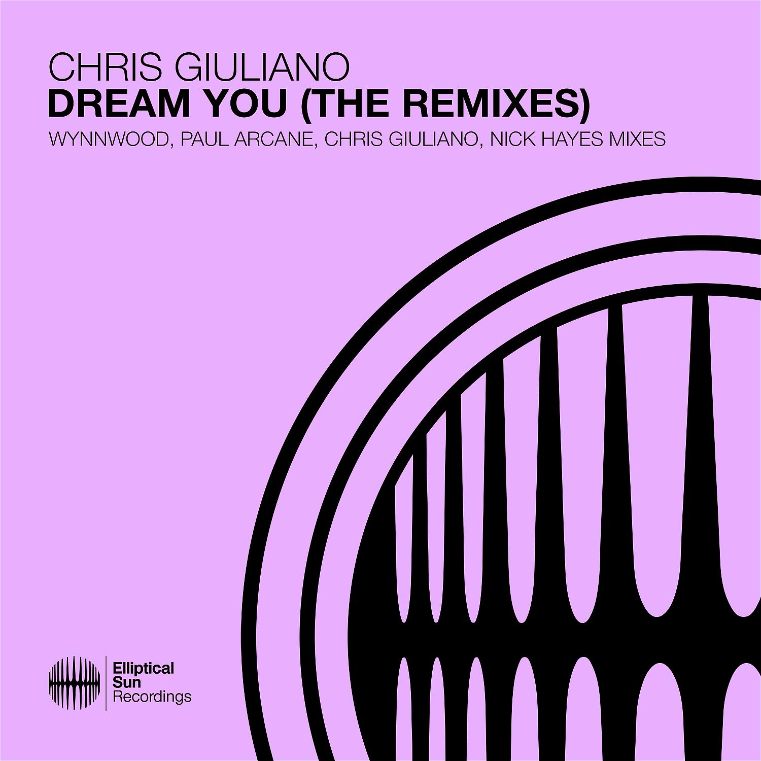 Постер альбома Dream You (The Remixes)