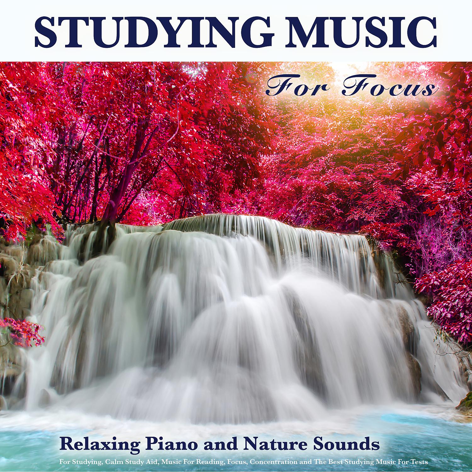 Постер альбома Studying Music For Focus: Relaxing Piano and Nature Sounds For Studying, Calm Study Aid, Music For Reading, Focus, Concentration and The Best Studying Music For Tests