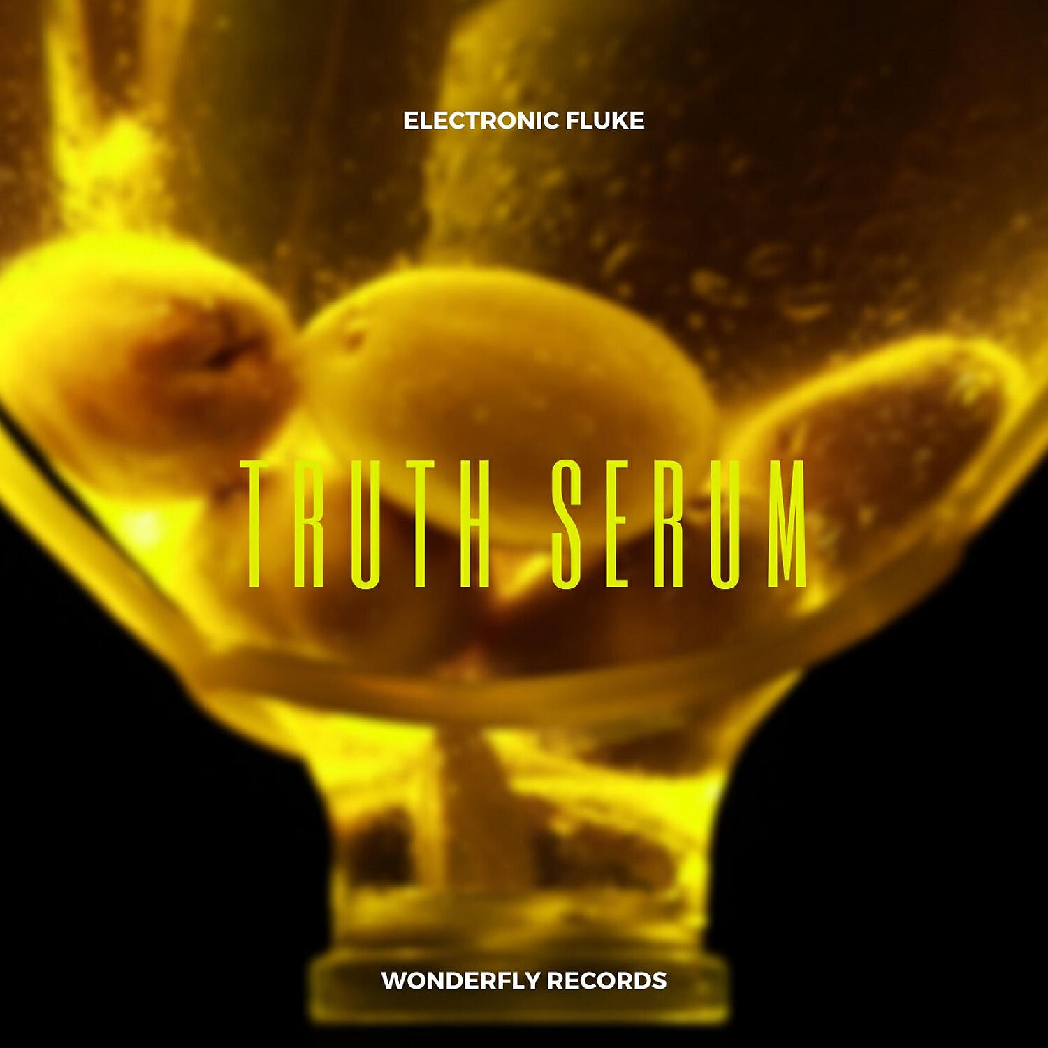 Electronic Fluke - Truth Serum