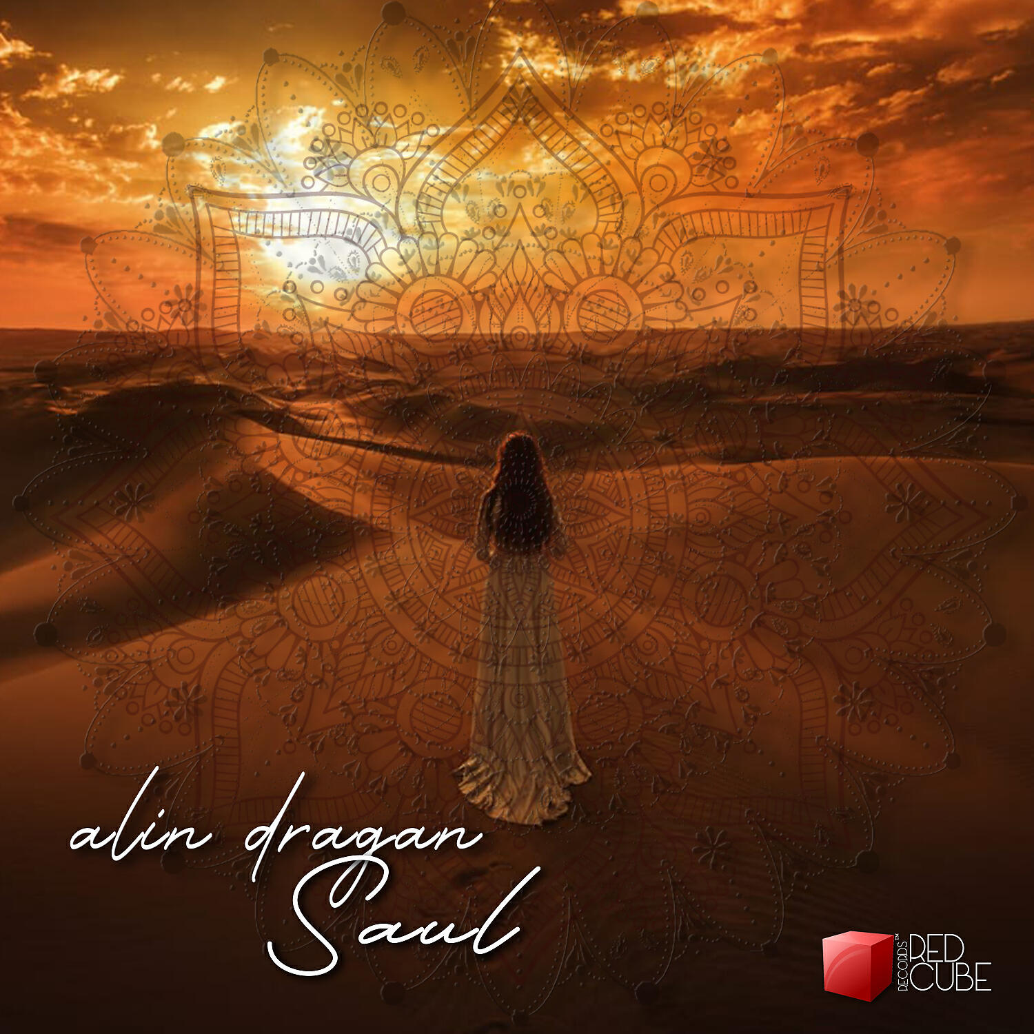 Alin Dragan - Saul
